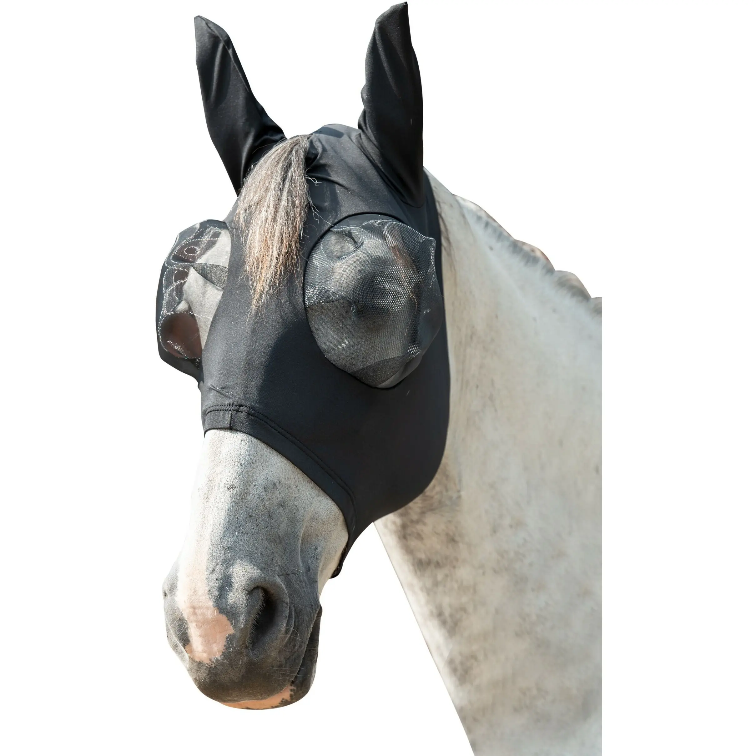 Fliegenschutzmaske ELASTIC schwarz