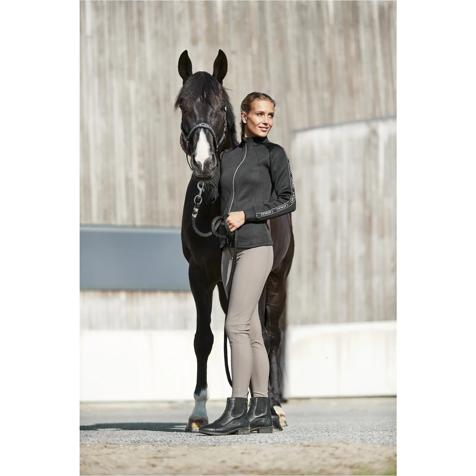 Damen Reitleggings Silikon Vollbesatz RIVER F/G mit Gürtelschlaufen falcon Damen Reitleggings Silikon Vollbesatz RIVER F/G mit Gürtelschlaufen falcon
