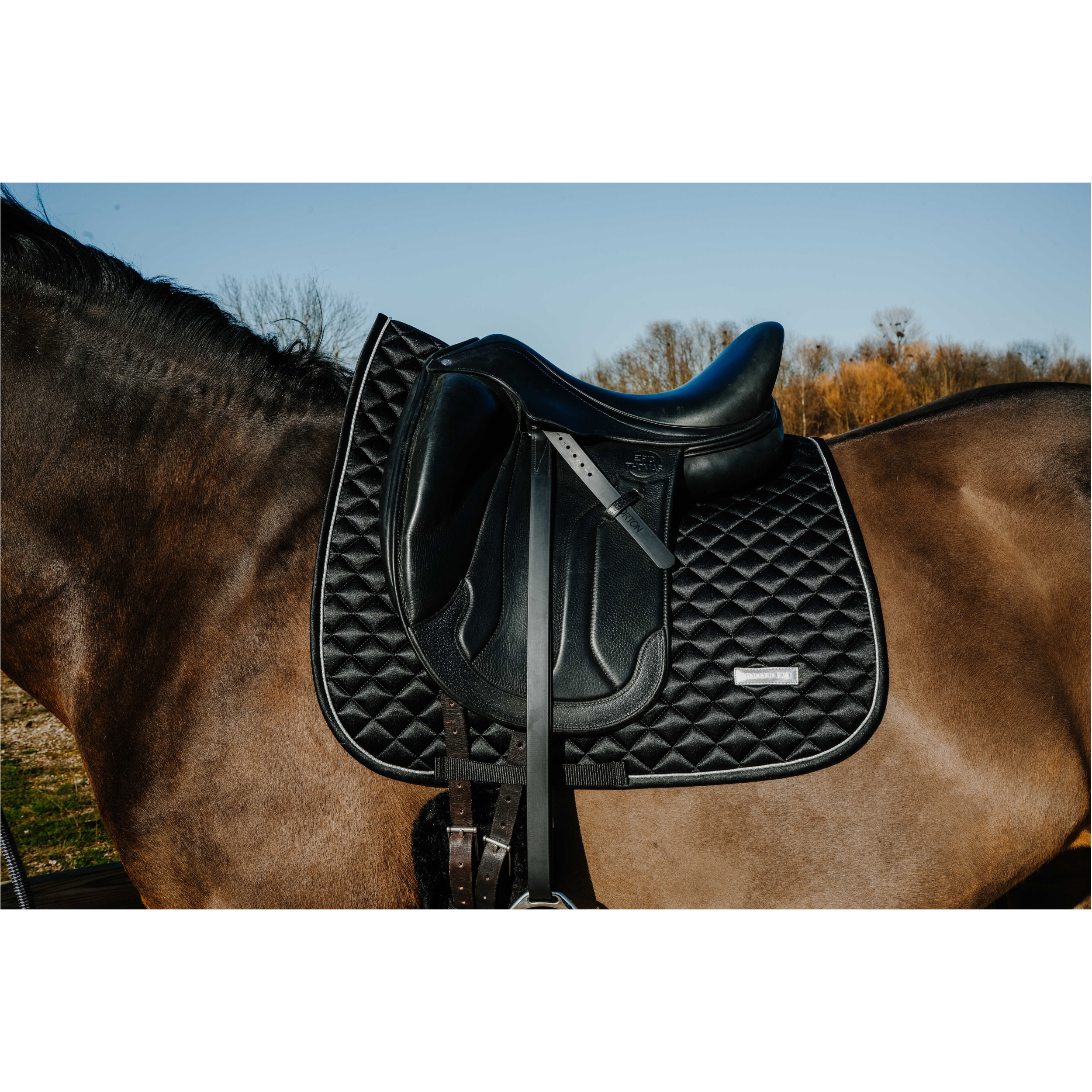 Dressurschabracke NACRE schwarz Warmblut