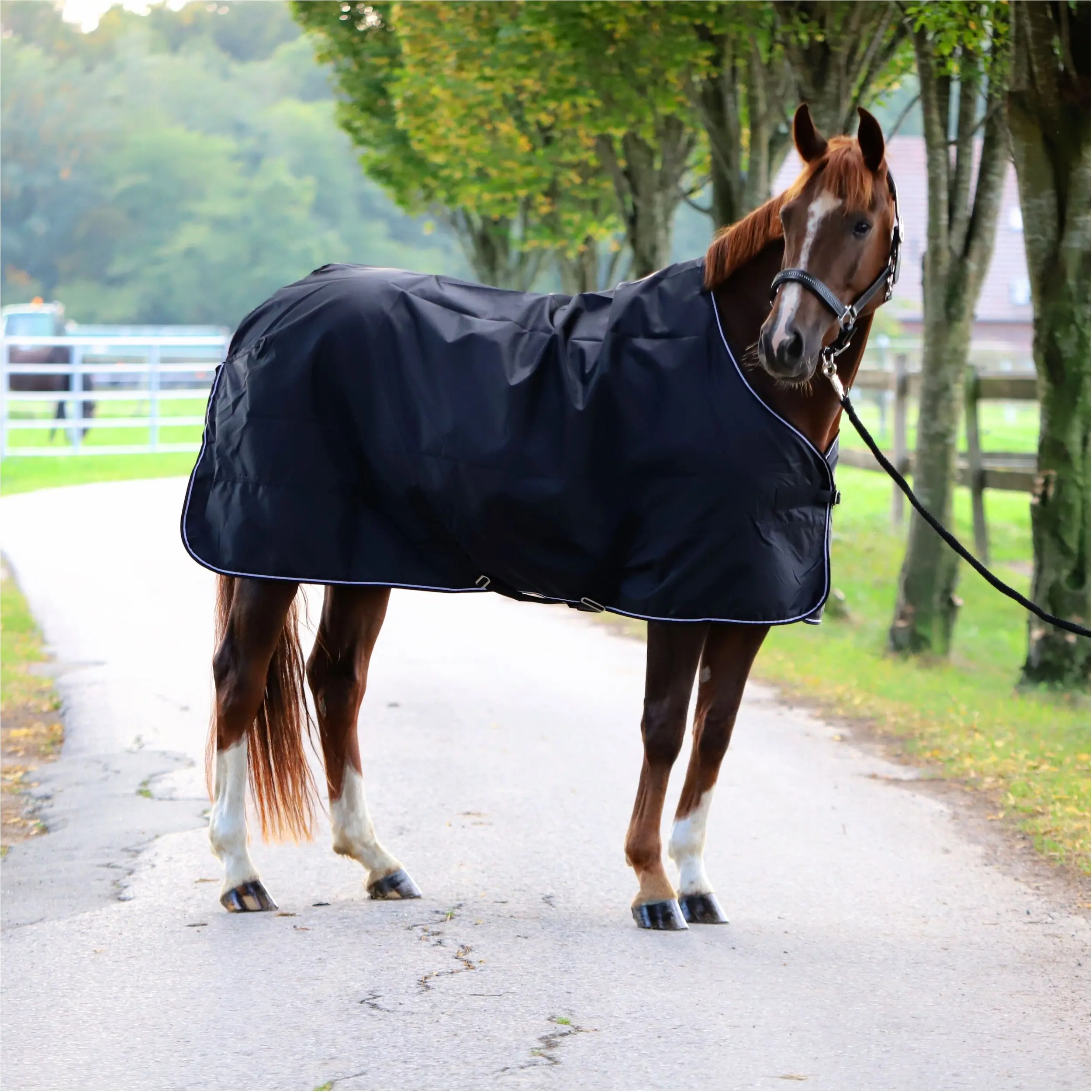 Regendecke 420D ECONOMIC schwarz Regendecke 420D ECONOMIC schwarz