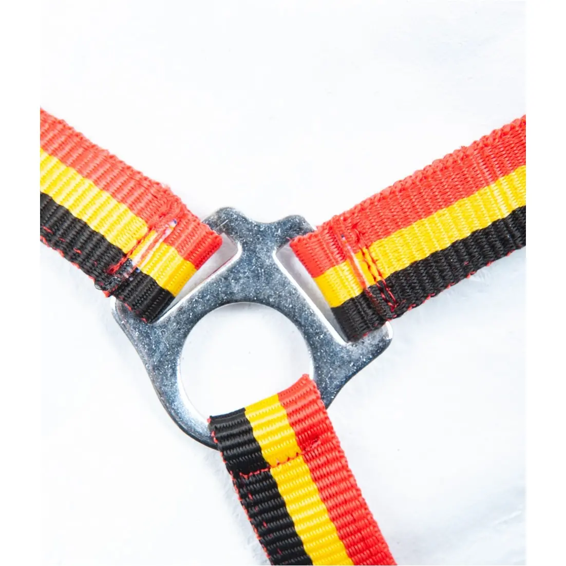 Halfter BUDAPEST schwarz/gold/rot Halfter BUDAPEST schwarz/gold/rot