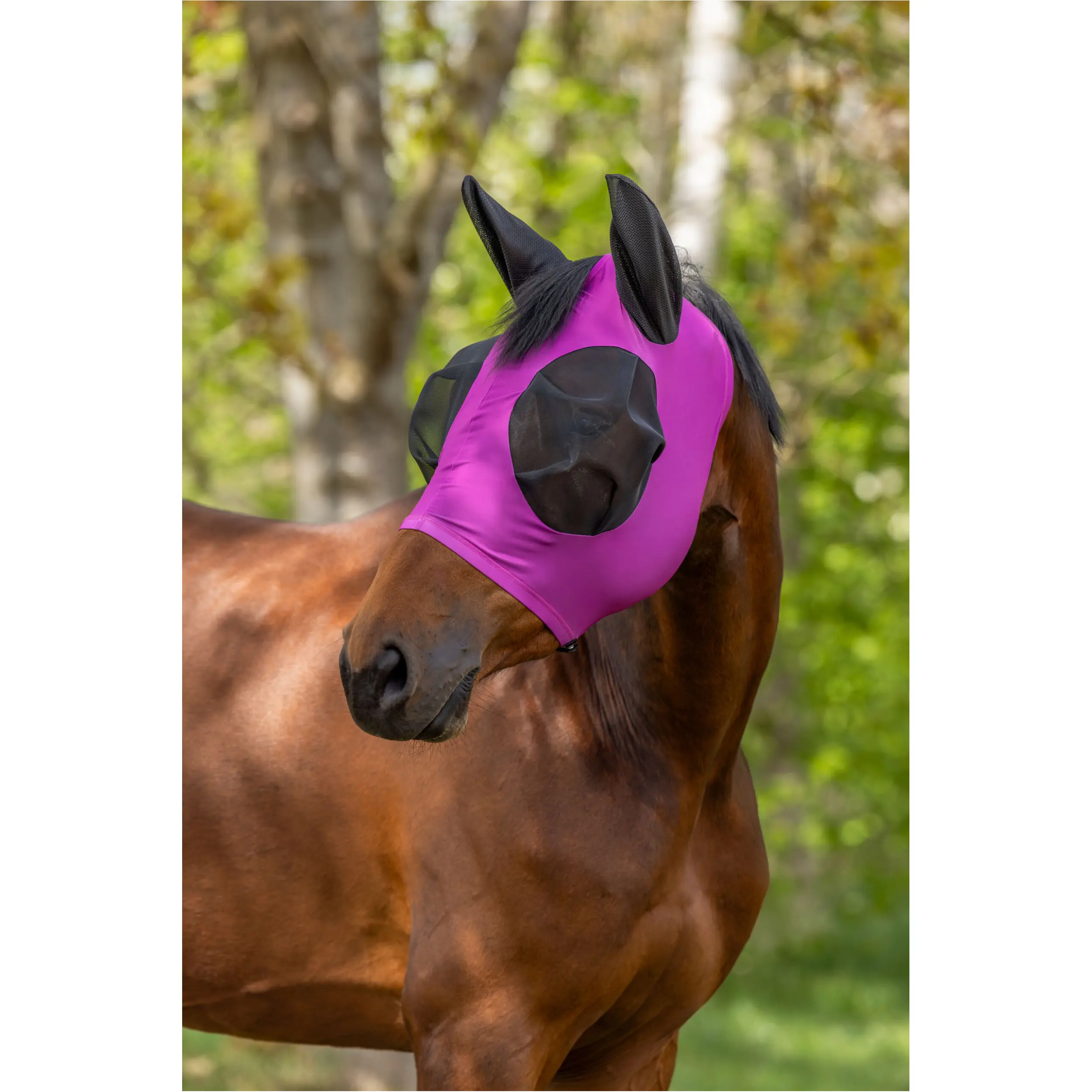 Fliegenmaske FinoStretch Zipper F/S 2026 light berry