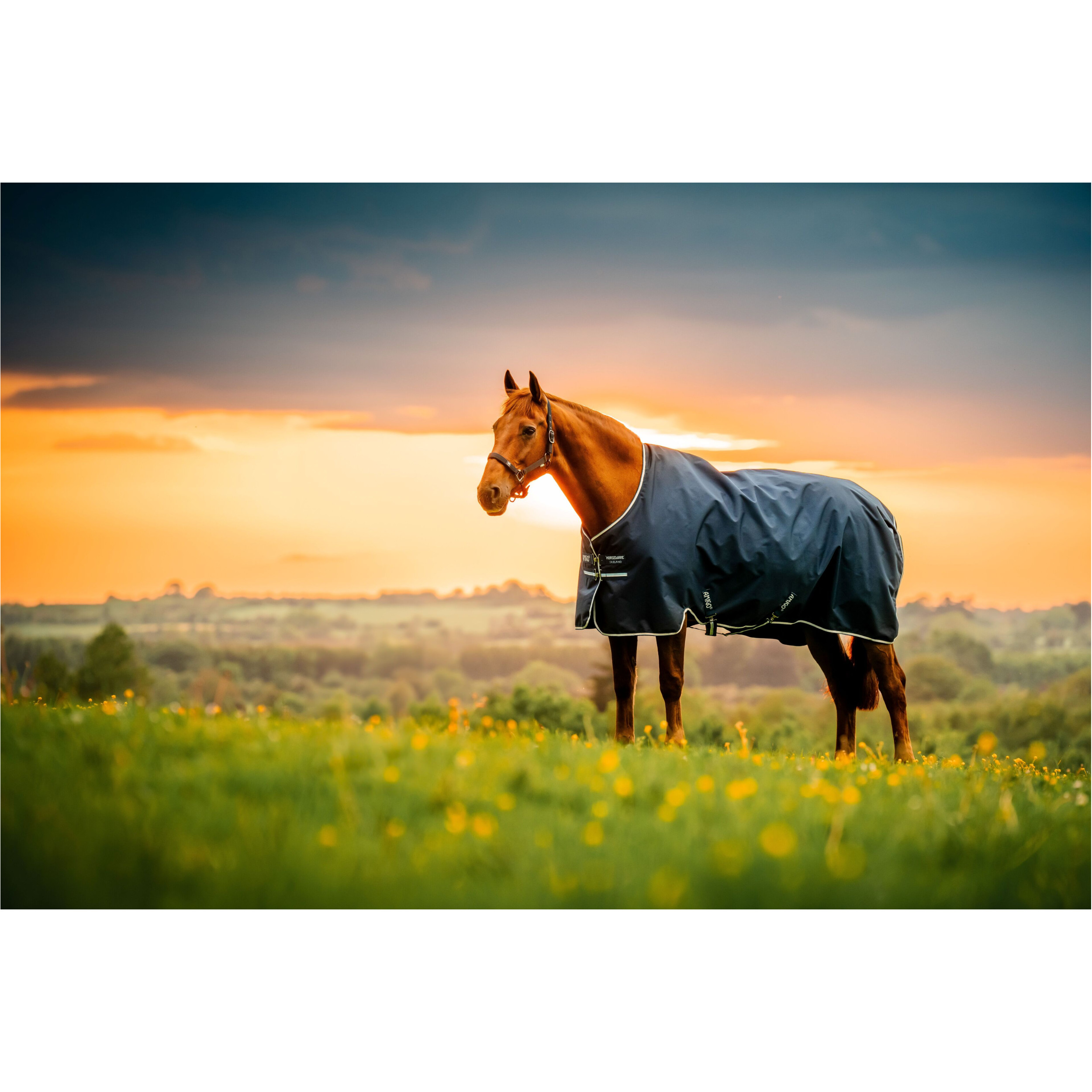 Outdoordecke 100g Füllung 900D AMIGO Ripstop Turnout witney stripes/navy