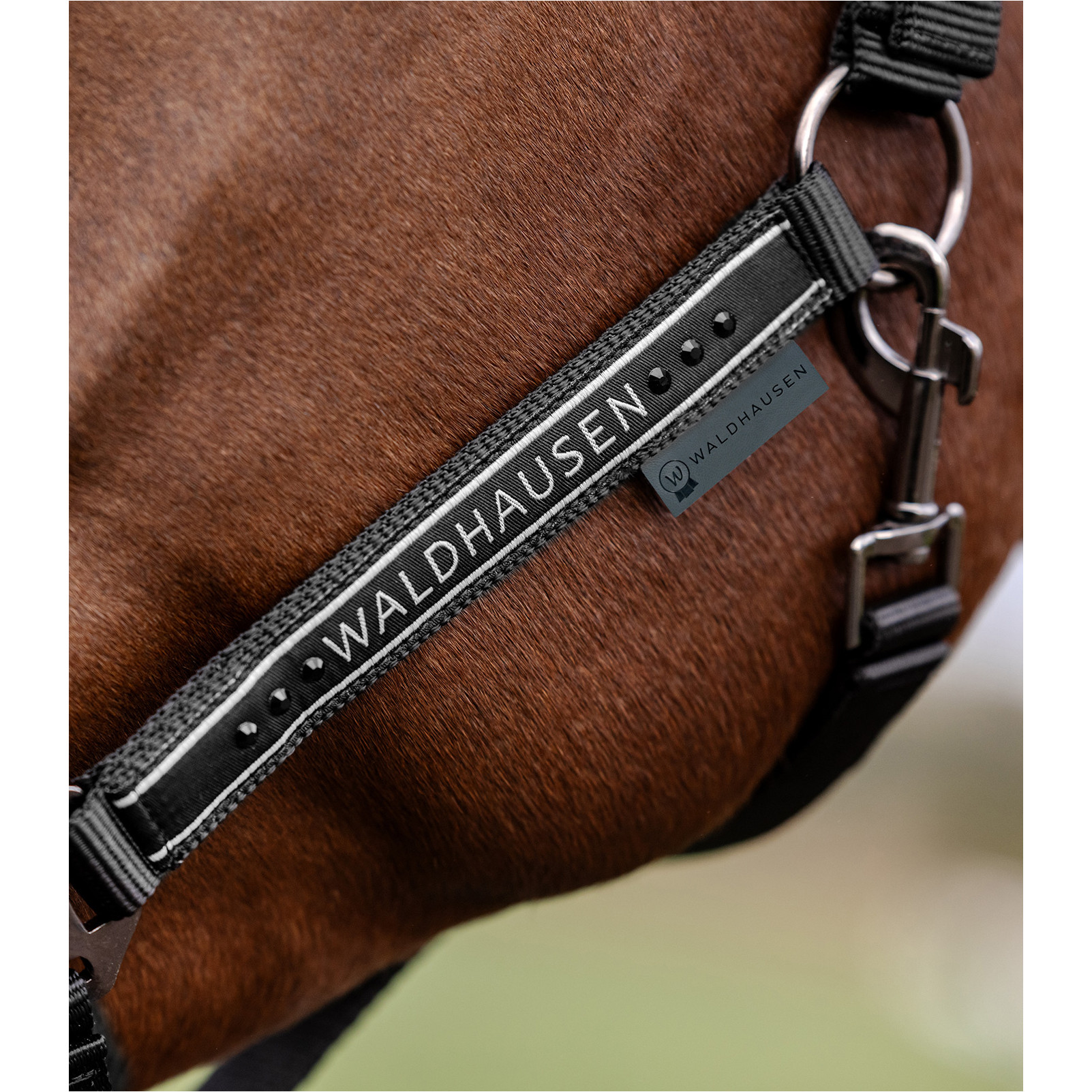 Halfter ELEGANT schwarz/schwarz