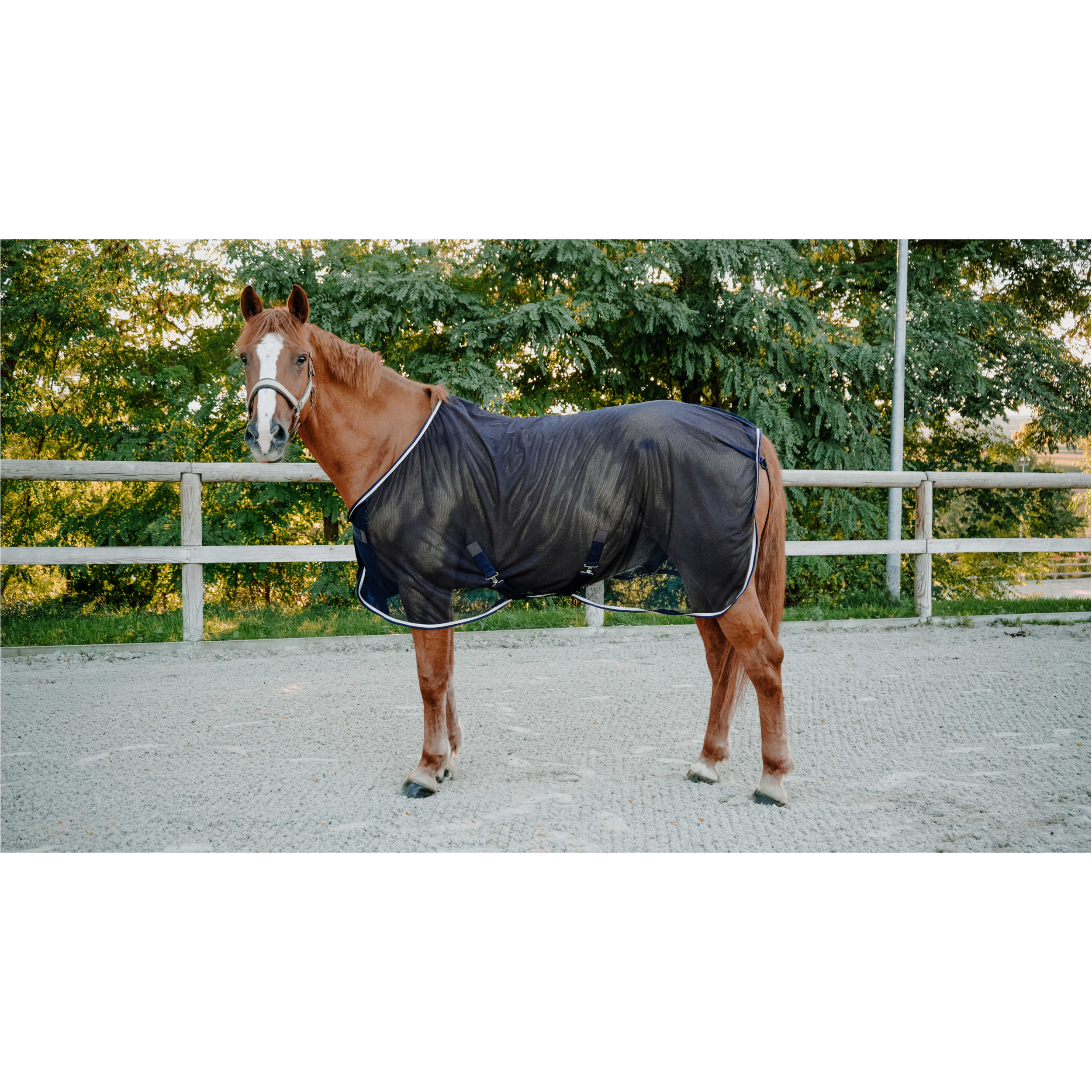 Fliegendecke SERENITY navy