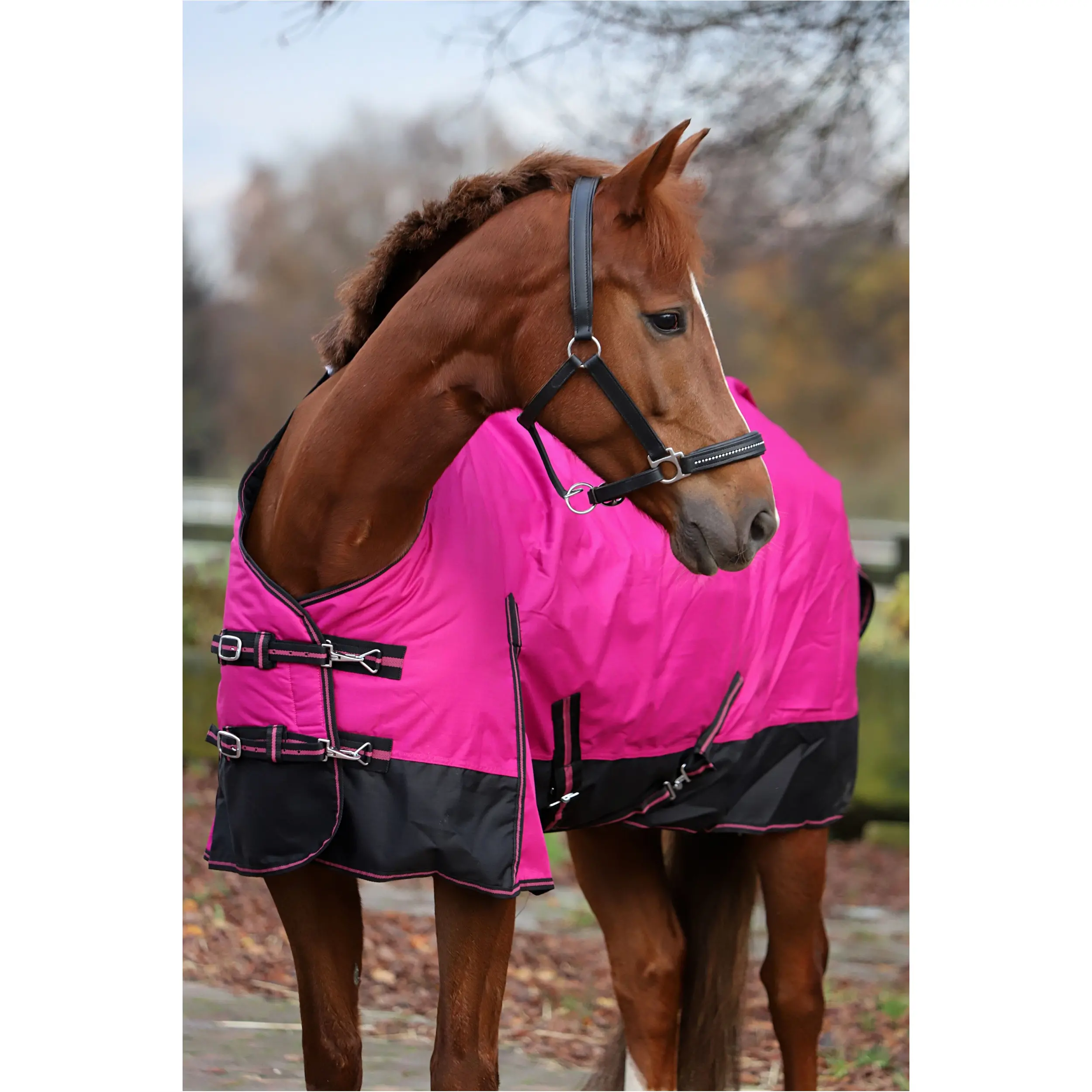 Winterdecke 300g Füllung 600D BASICLINE beere/schwarz