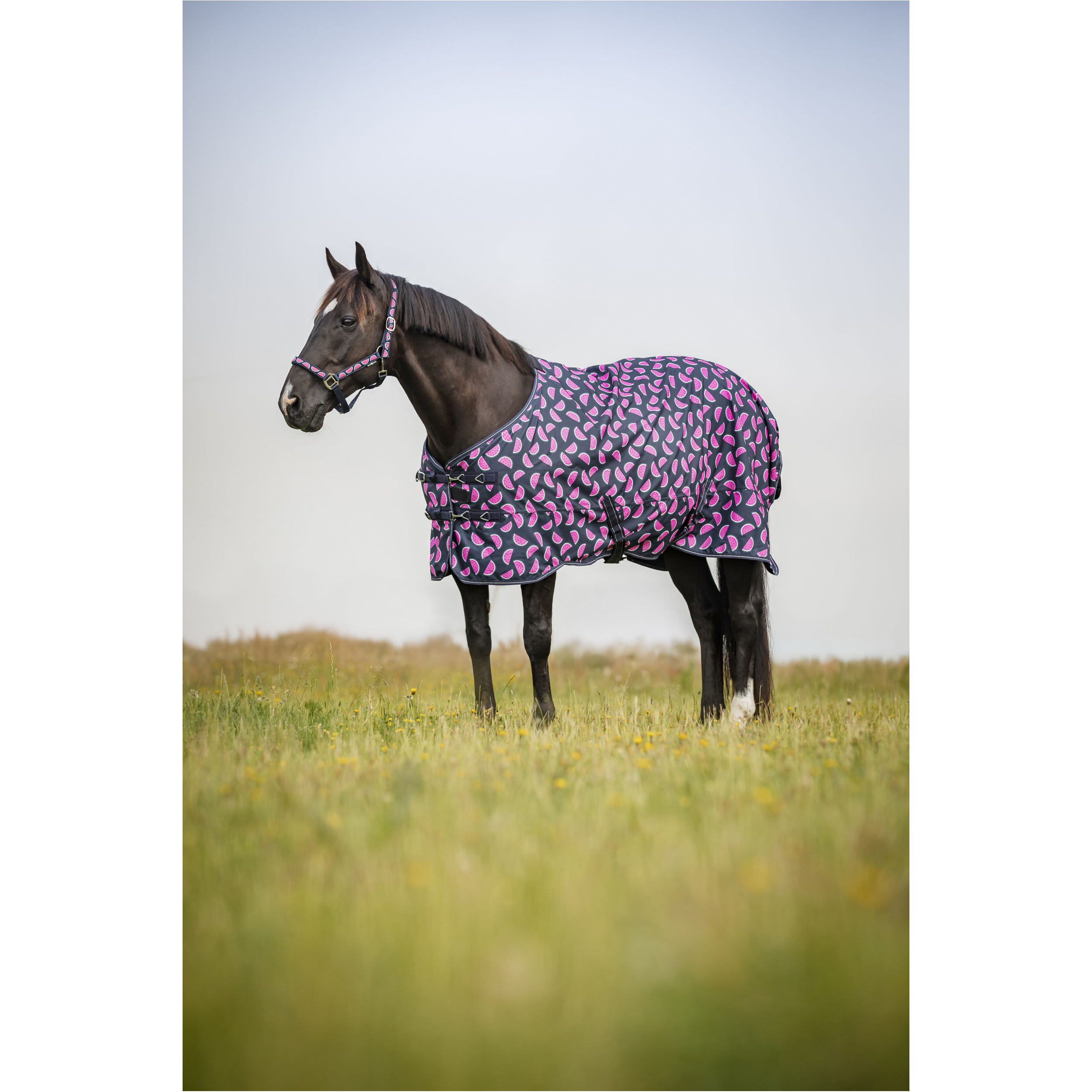 Halfter MELON navy Halfter MELON navy