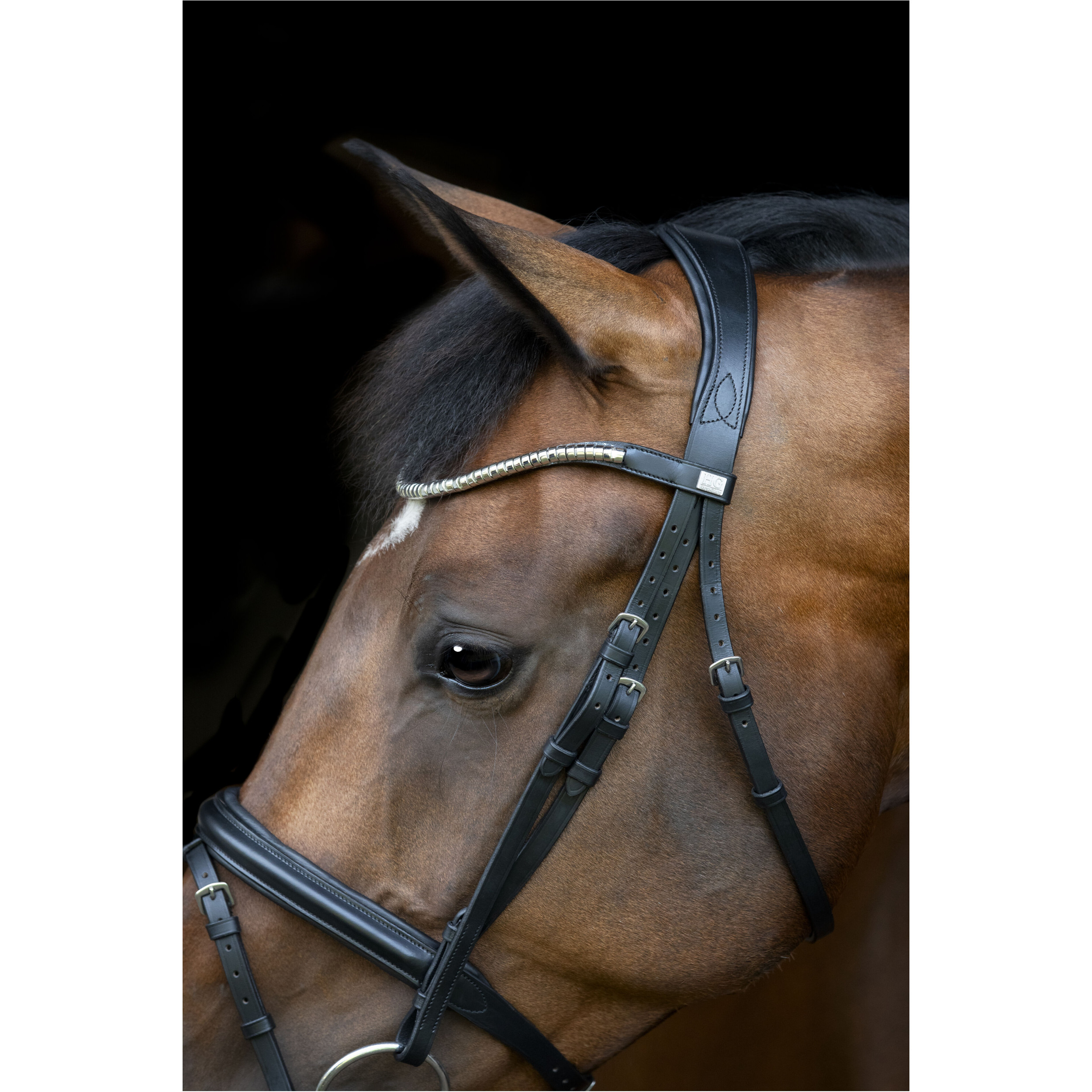 Trensenzaum englisch kombiniert EMI 26.1 schwarz