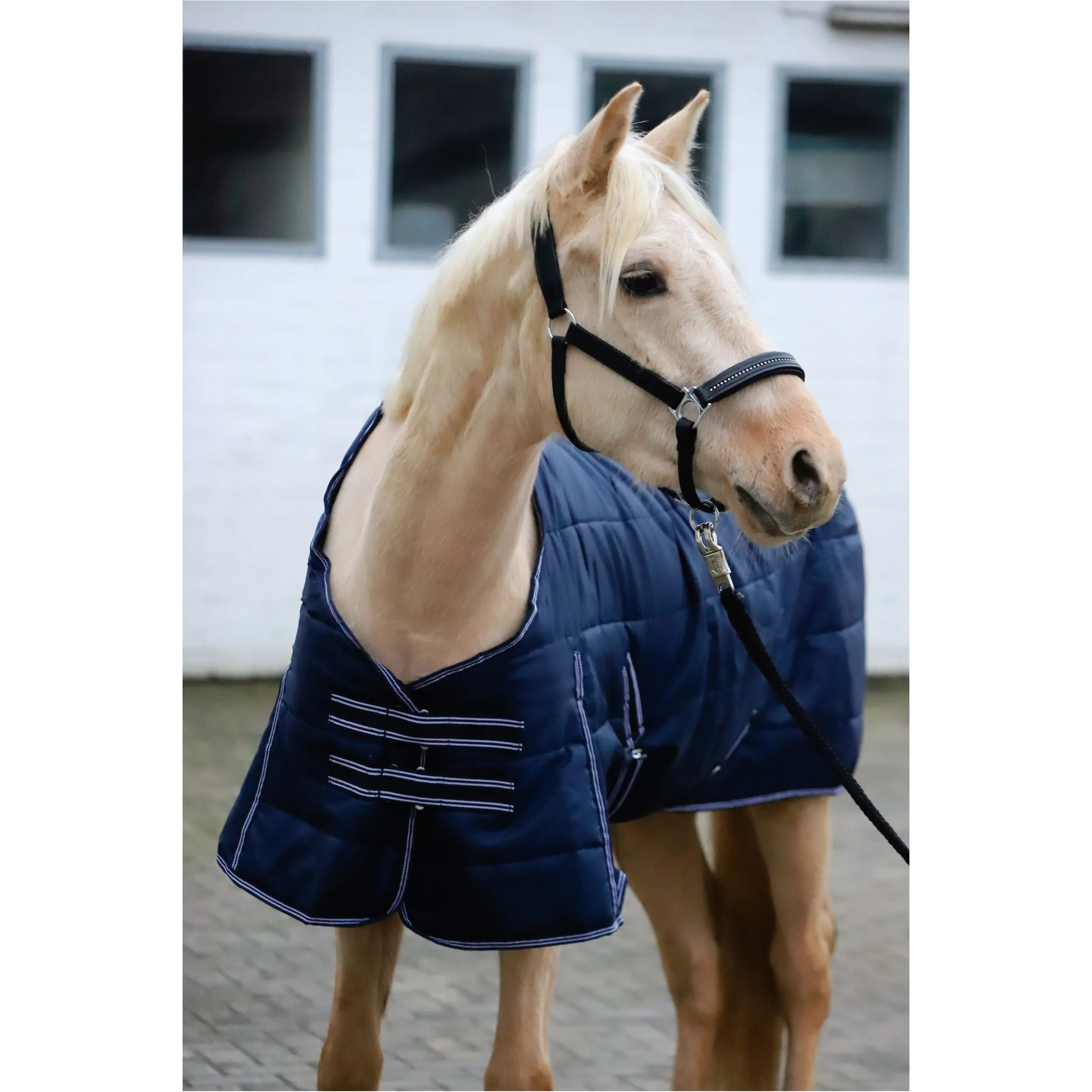 Stalldecke 200g Füllung 420D COMFORT marine Stalldecke 200g Füllung 420D COMFORT marine