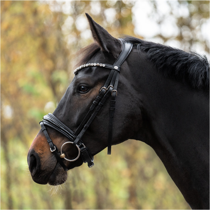 Trensenzaum schwedisch kombiniert ZORA schwarz lack/schwarz Trensenzaum schwedisch kombiniert ZORA schwarz lack/schwarz