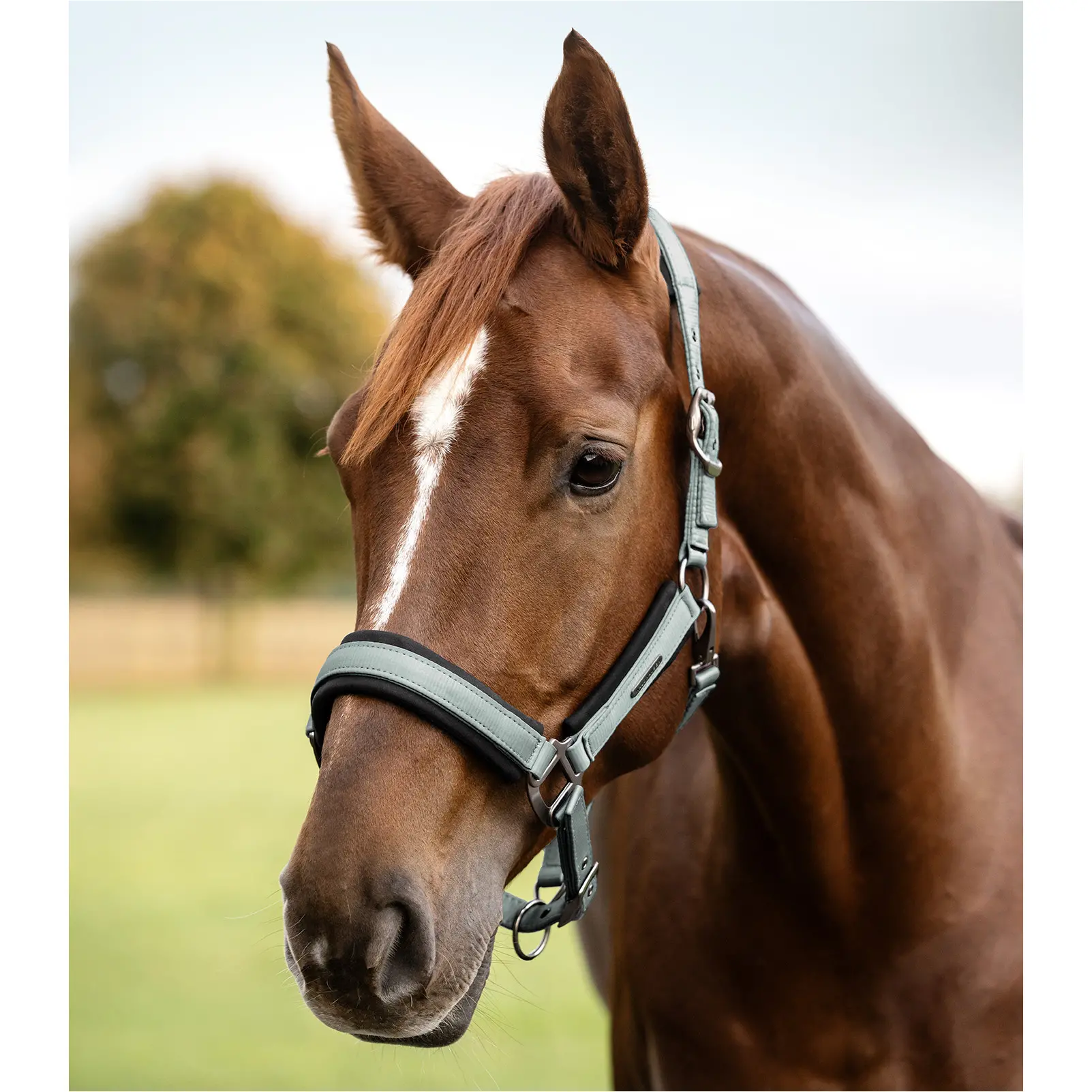 Halfter SOFT TOUCH silberblau