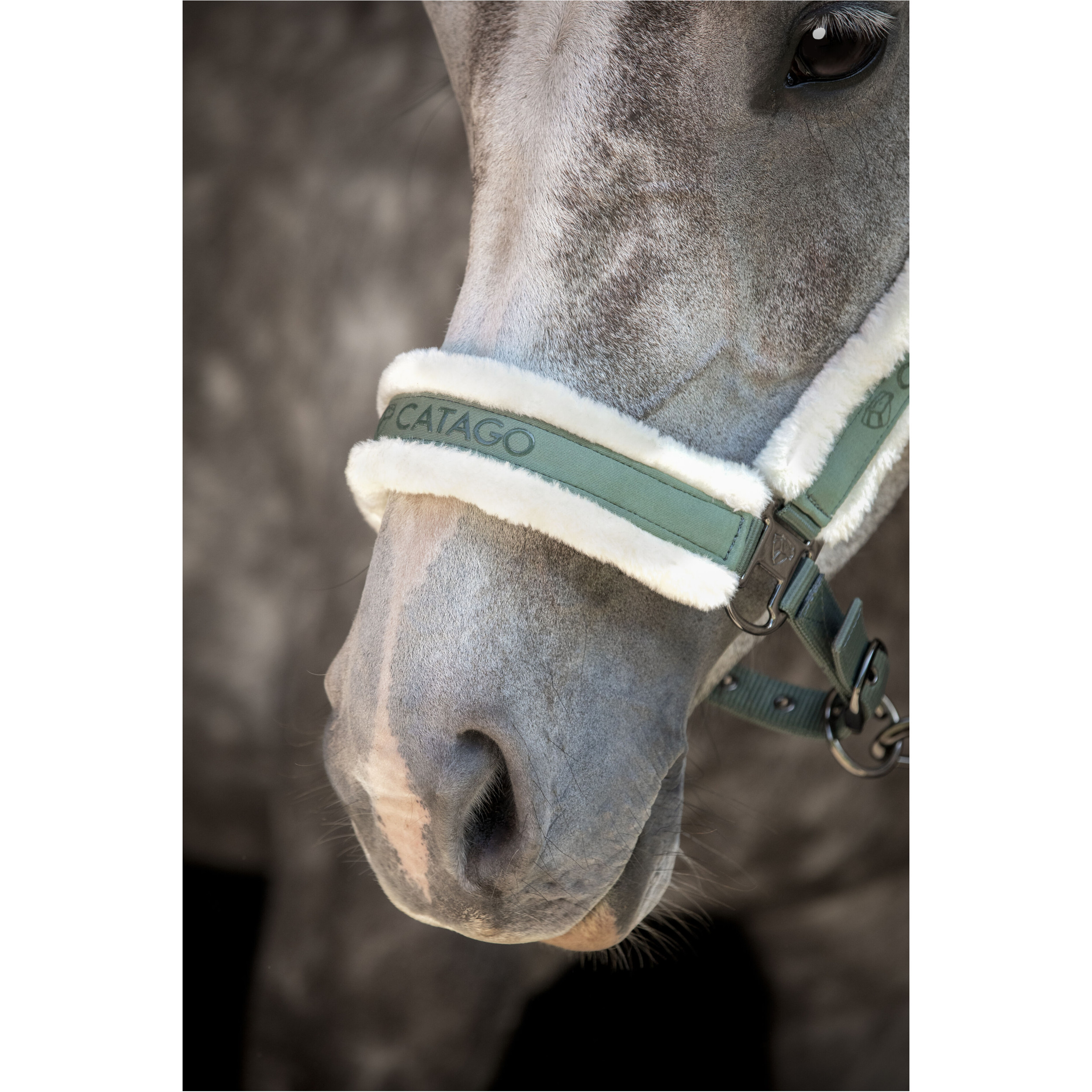 Halfter LOGI laurel wreath