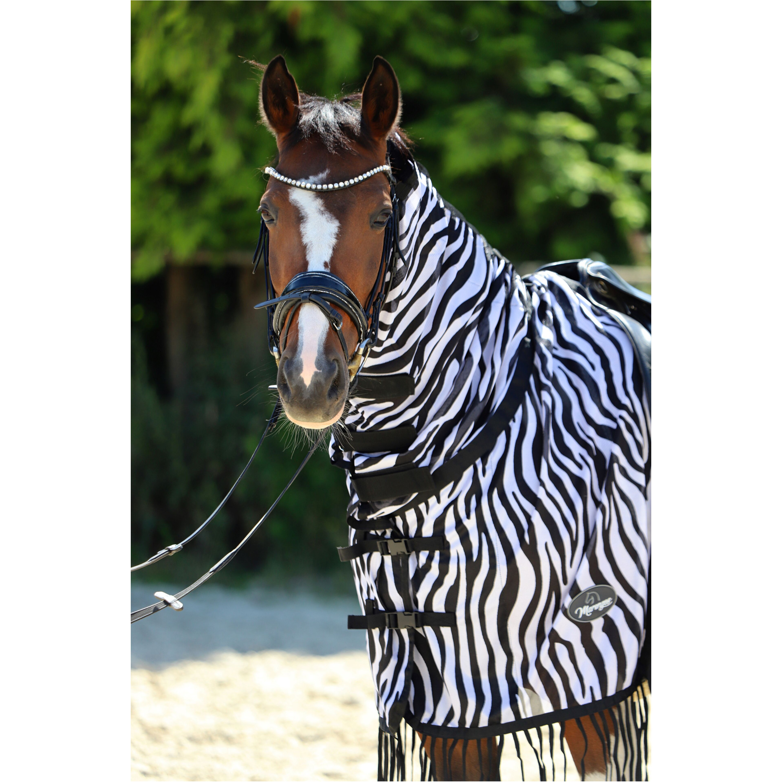 Fliegenausreitdecke mit Fransen ZEBRA schwarz/weiß