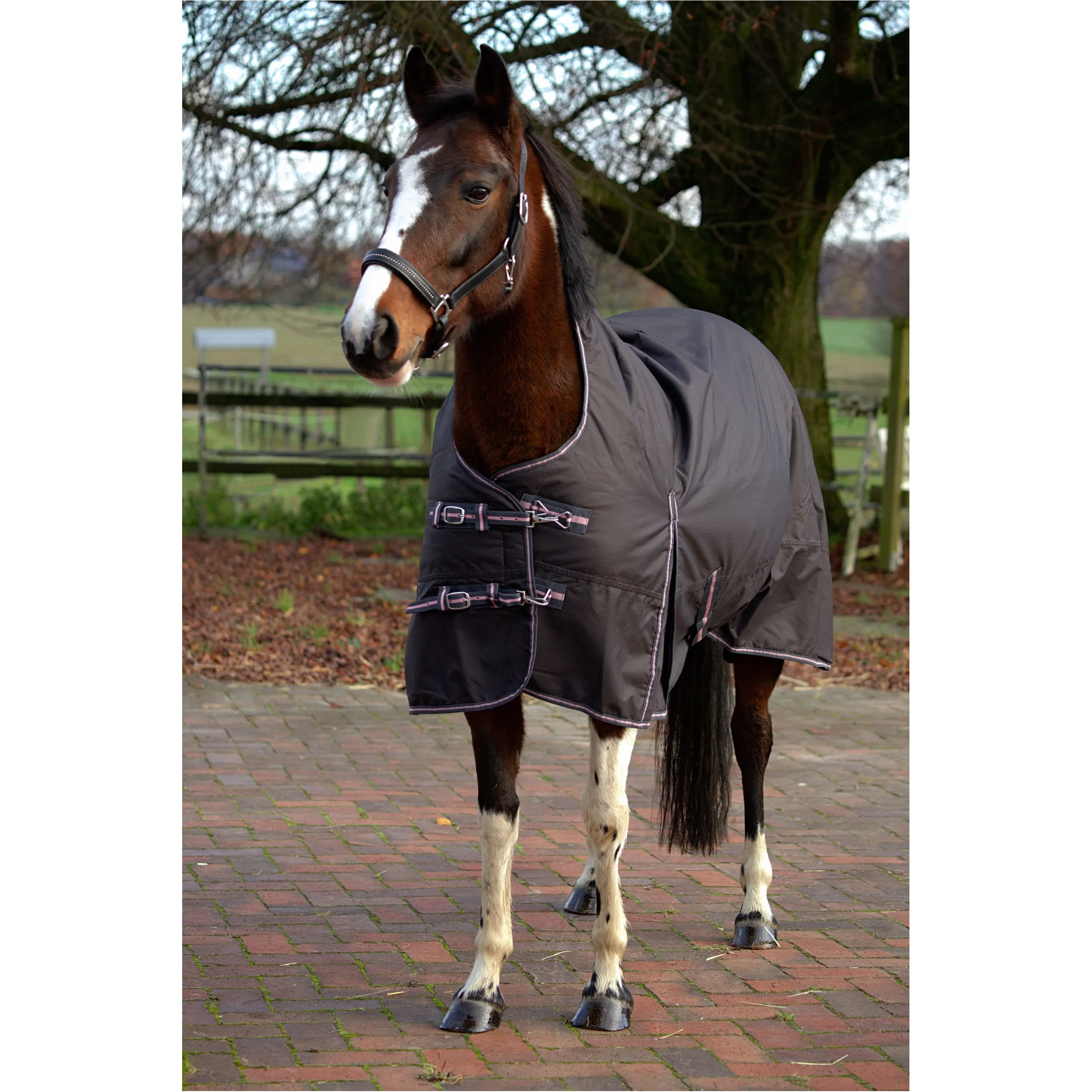 Winterdecke High Neck 200g Füllung 600D BASICLINE graphit/koralle