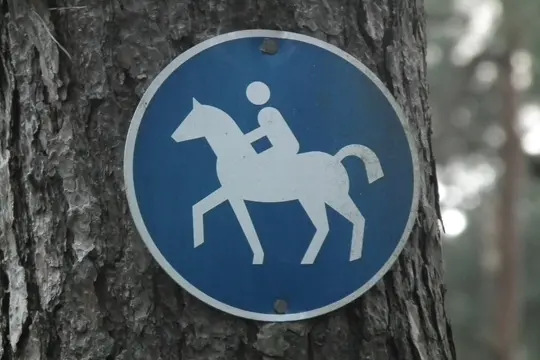 Wanderreiten