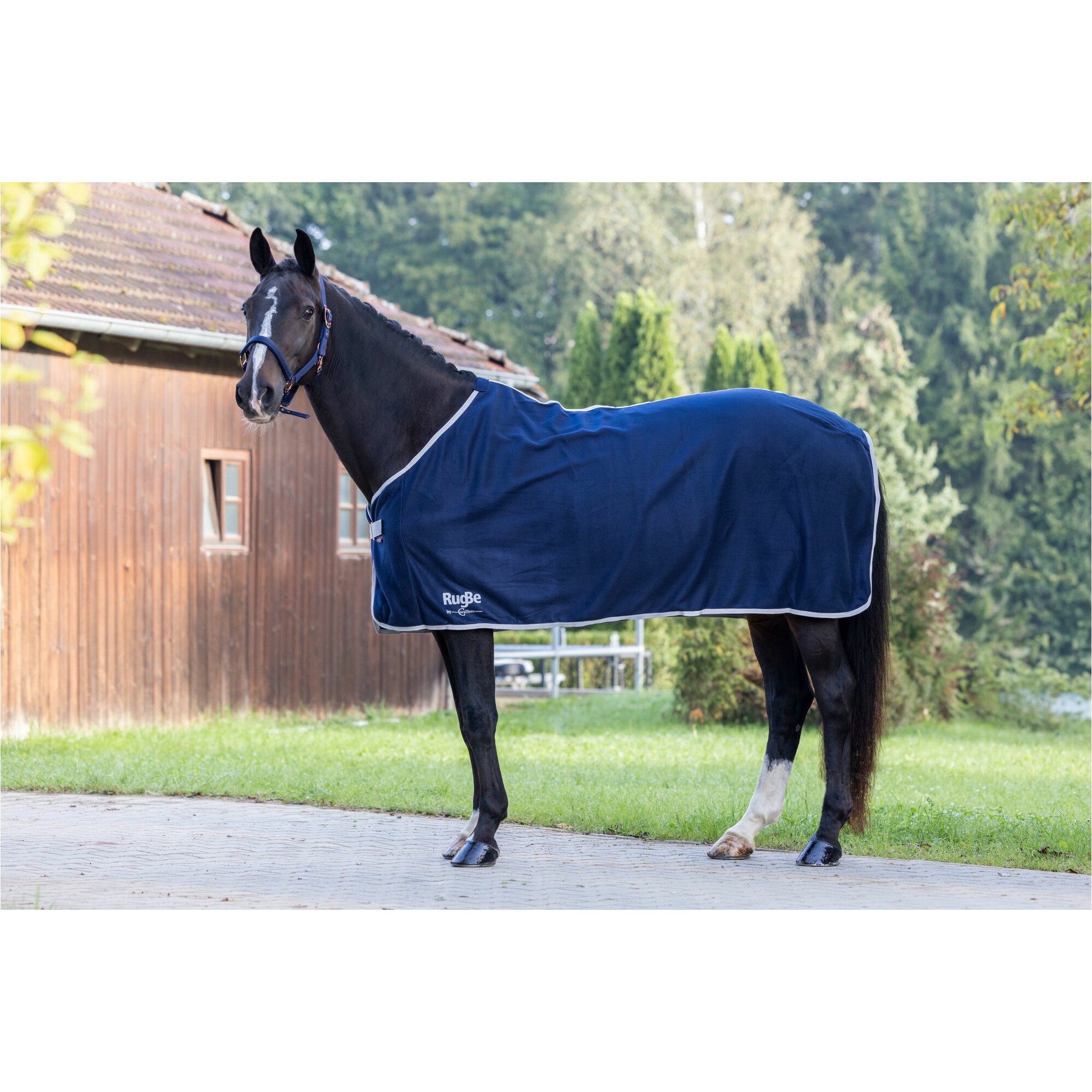 Fleecedecke RugBe ECONOMIC navy