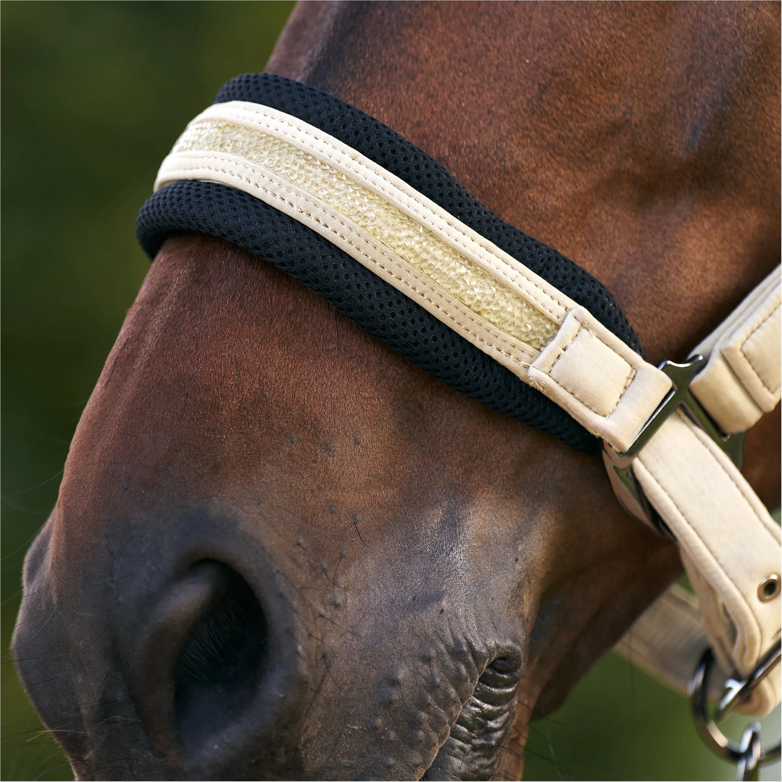 Halfter IRHJewel Mesh light olive