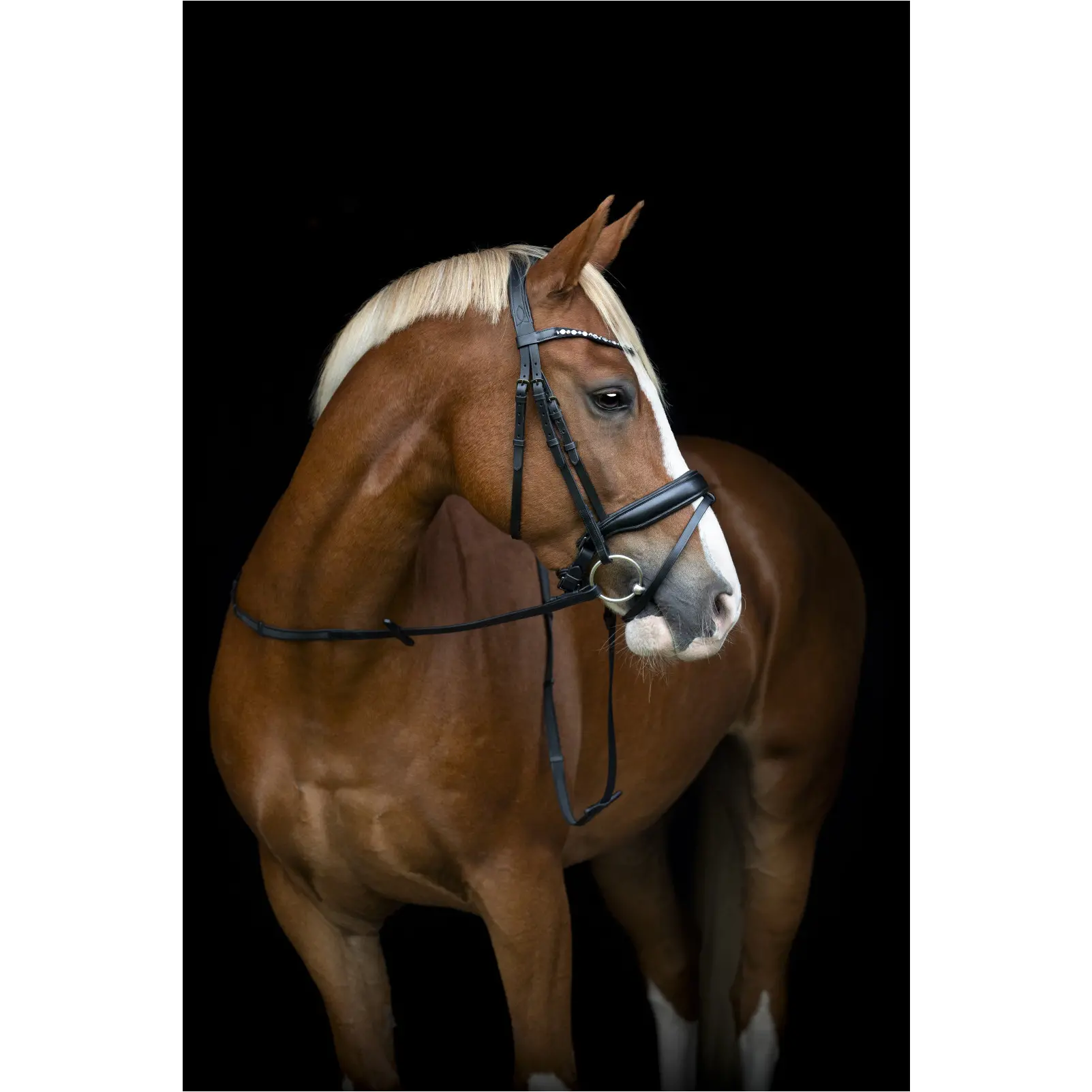 Trensenzaum schwedisch kombiniert CRYLL 25.2 schwarz Trensenzaum schwedisch kombiniert CRYLL 25.2 schwarz