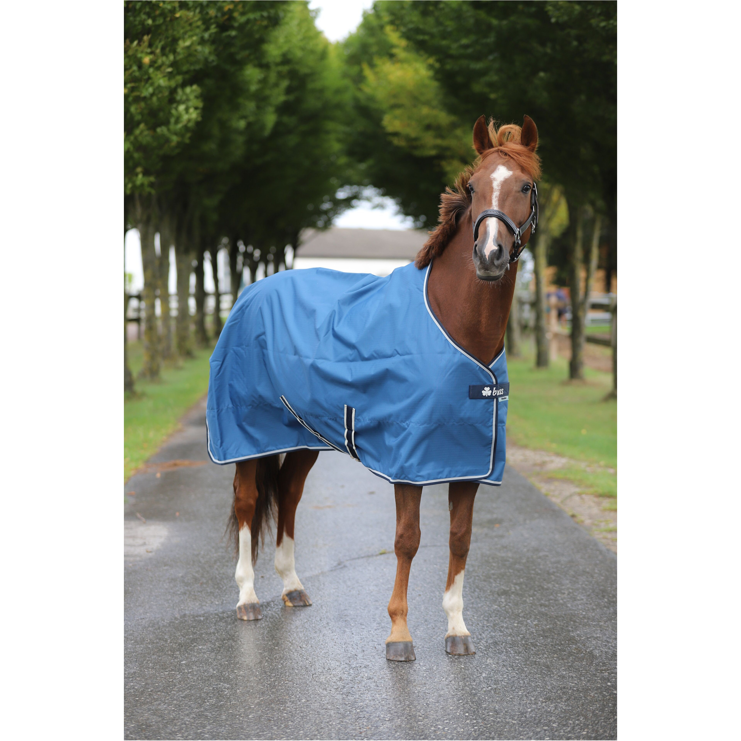 Weidedecke 50g Füllung 600D FREEDOM TURNOUT blau/navy