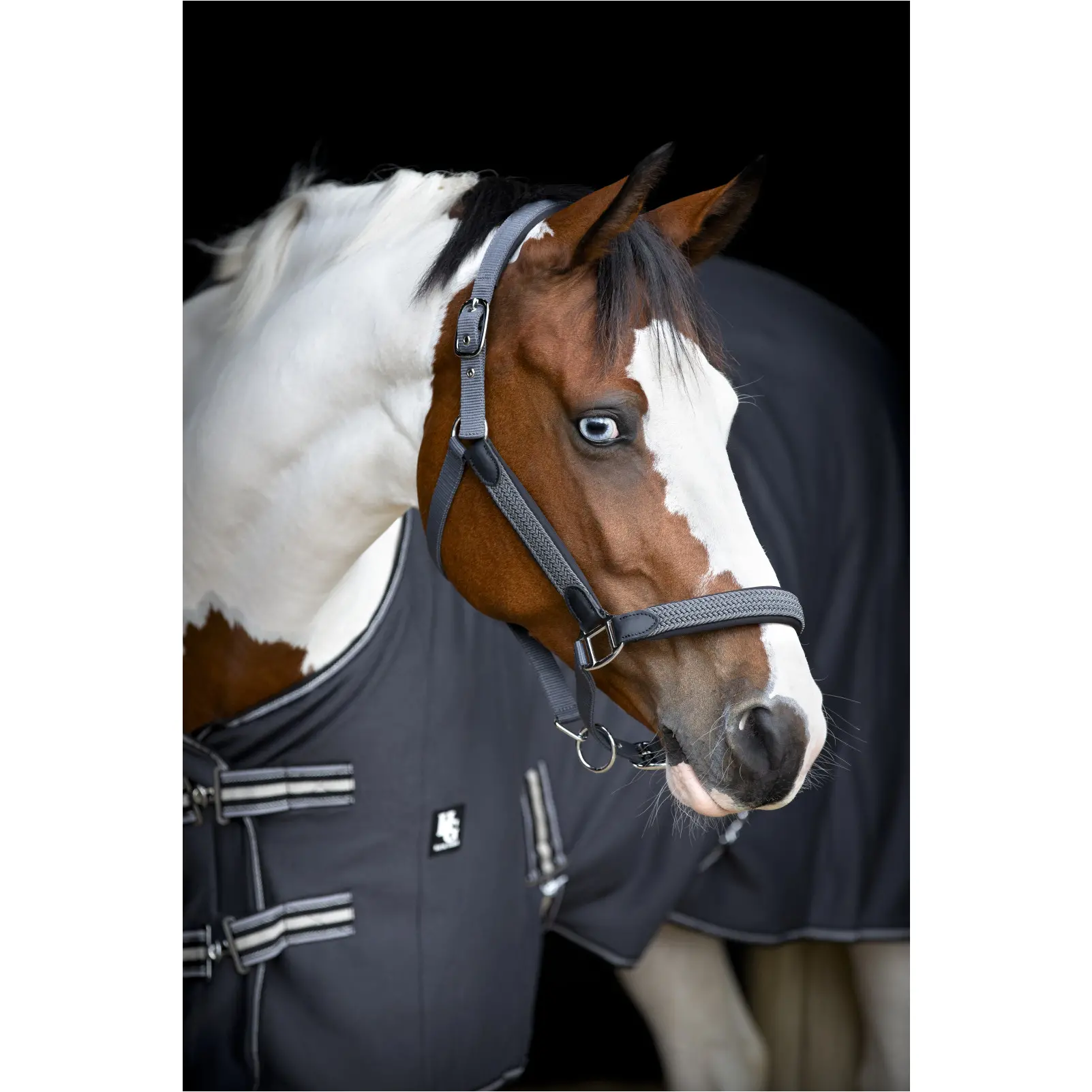 Halfter geflochten VARDIA asphalt Halfter geflochten VARDIA asphalt