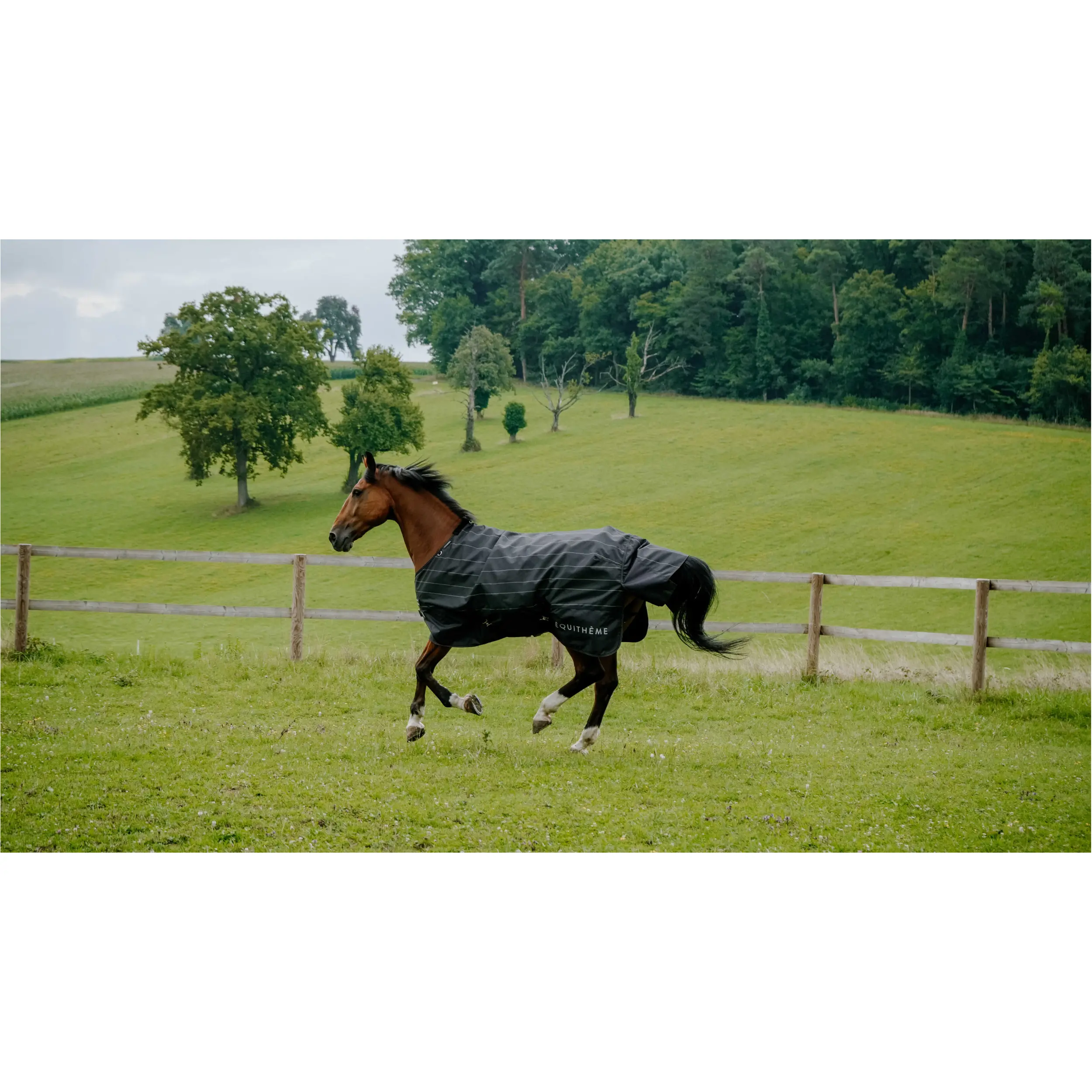 Regendecke reflektierend 600D TYREX Lumin EquiTheme schwarz