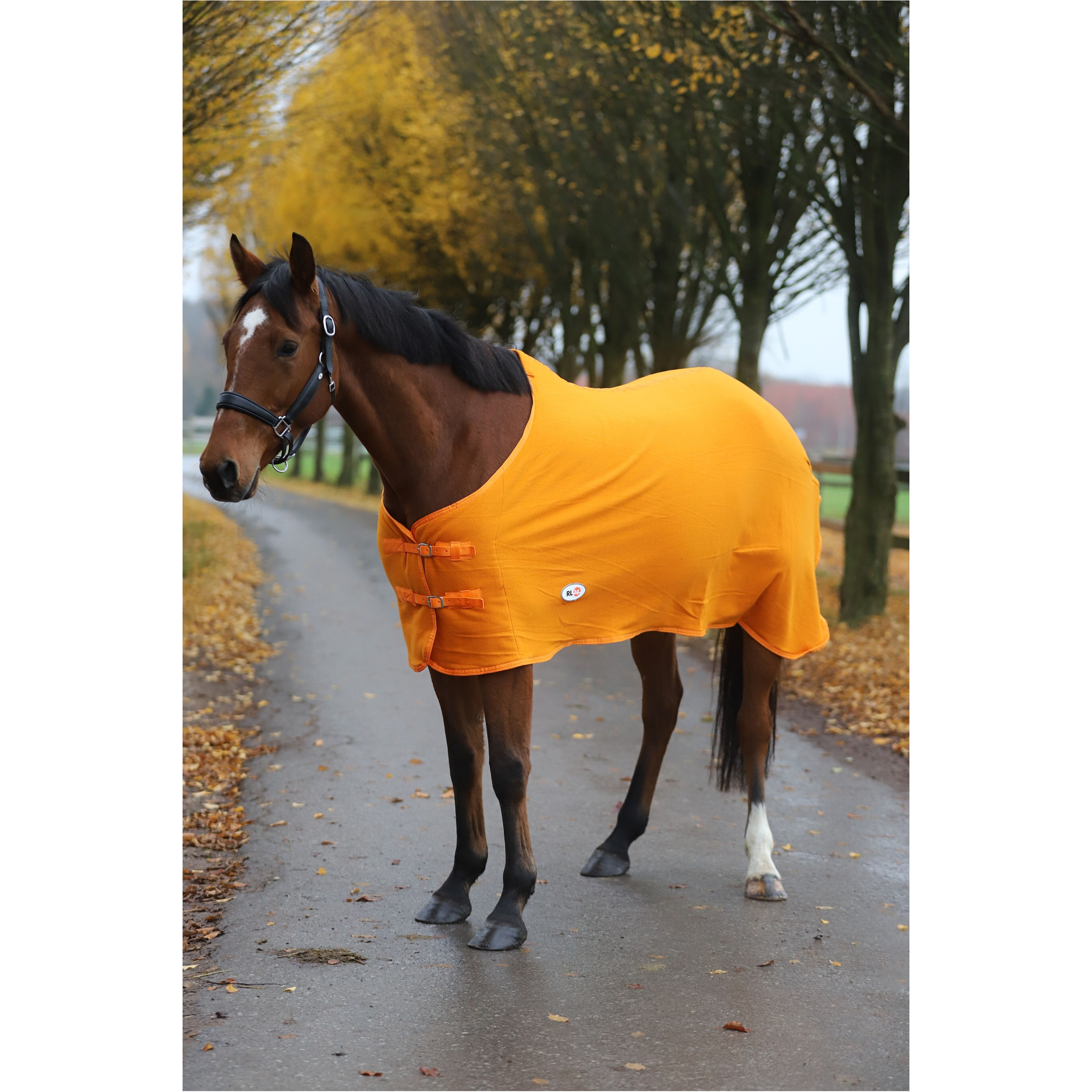 Abschwitzdecke BASICLINE rost Abschwitzdecke BASICLINE rost