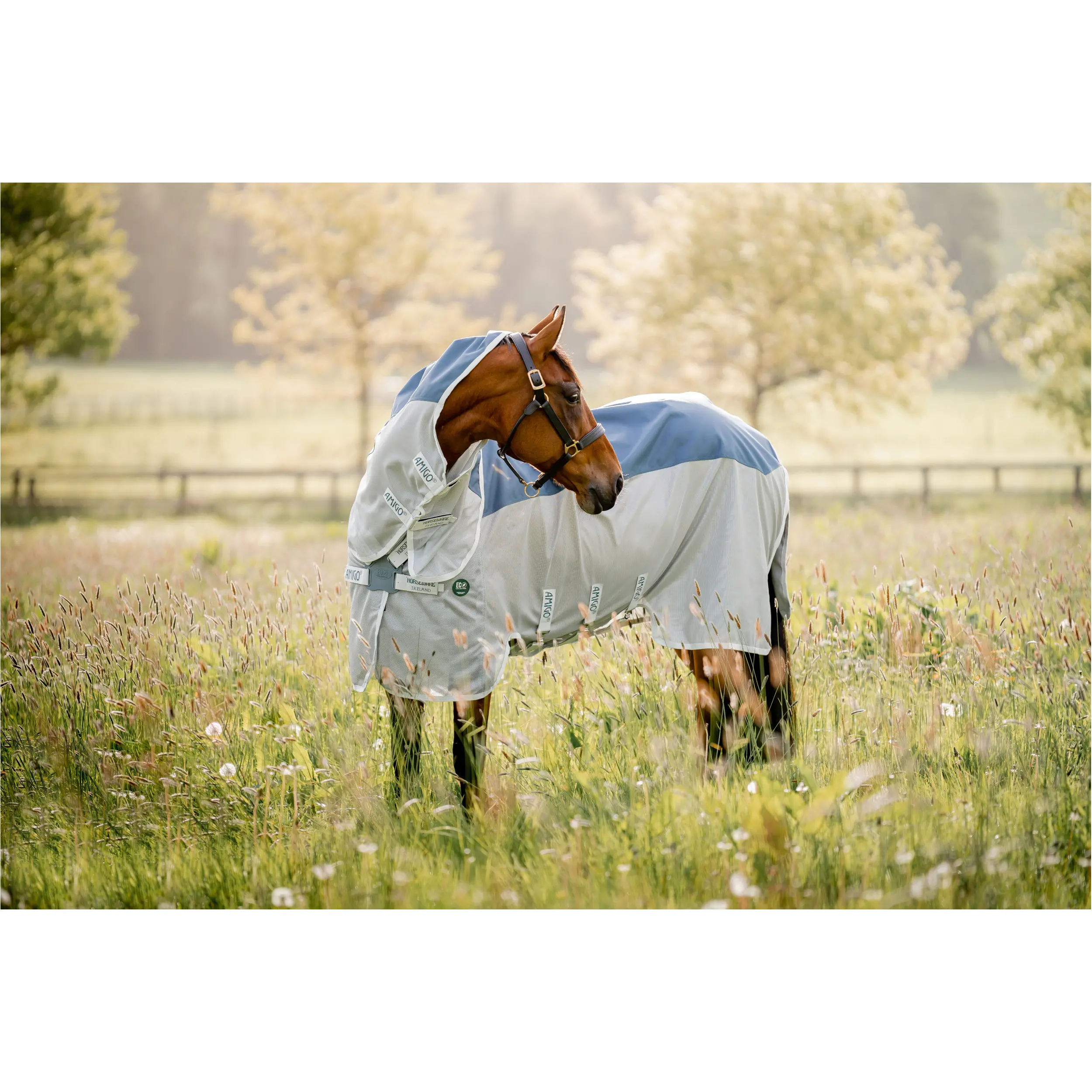 Fliegen- und Weidedecke mit Halsteil (abnehmbar) AMIGO Ameco Combi teal/grey