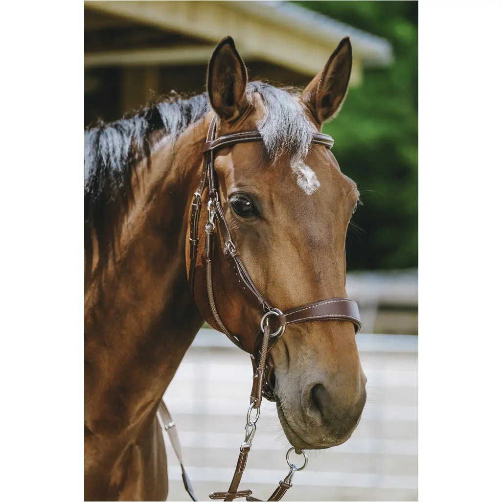 Trensenzaum und Gurtzügel BITLESS Echtleder havana Trensenzaum und Gurtzügel BITLESS Echtleder havana