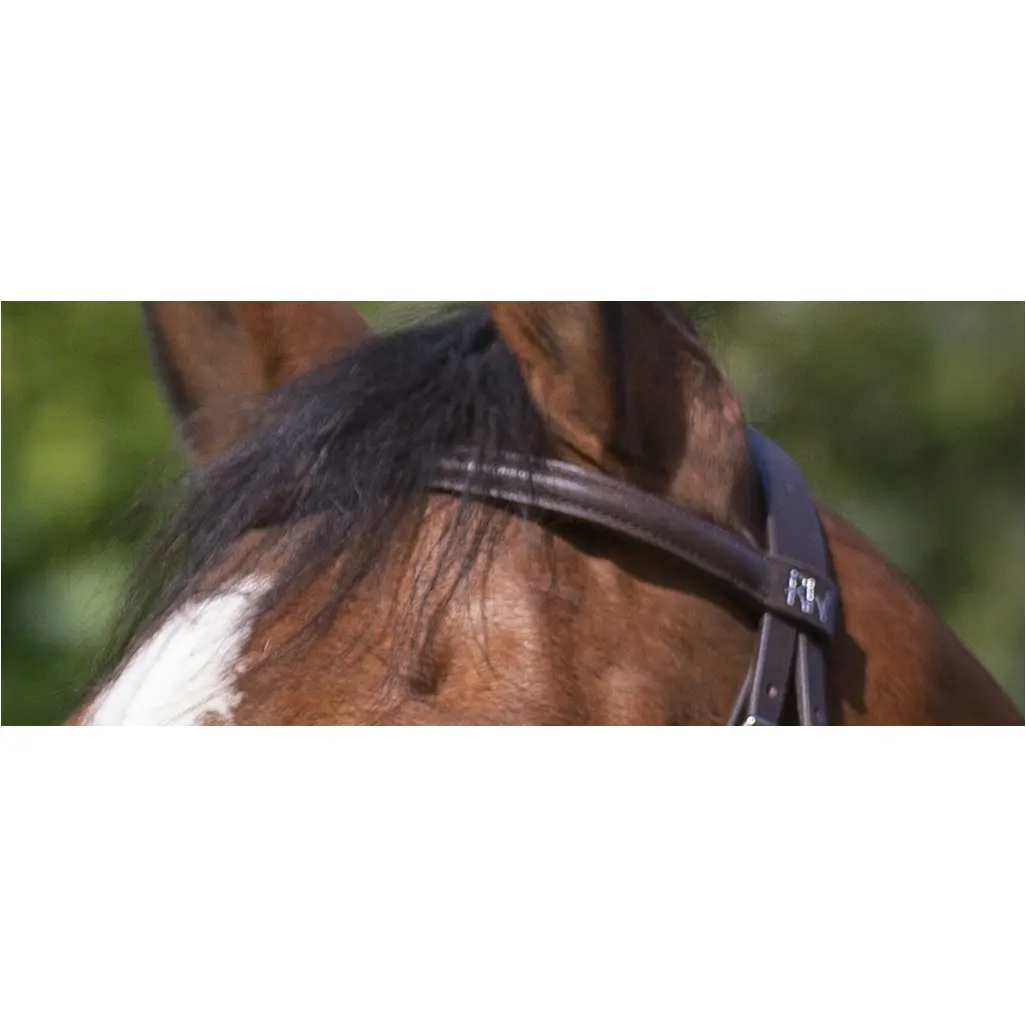 Trensenzaum mit kombiniertem Reithalfter havana