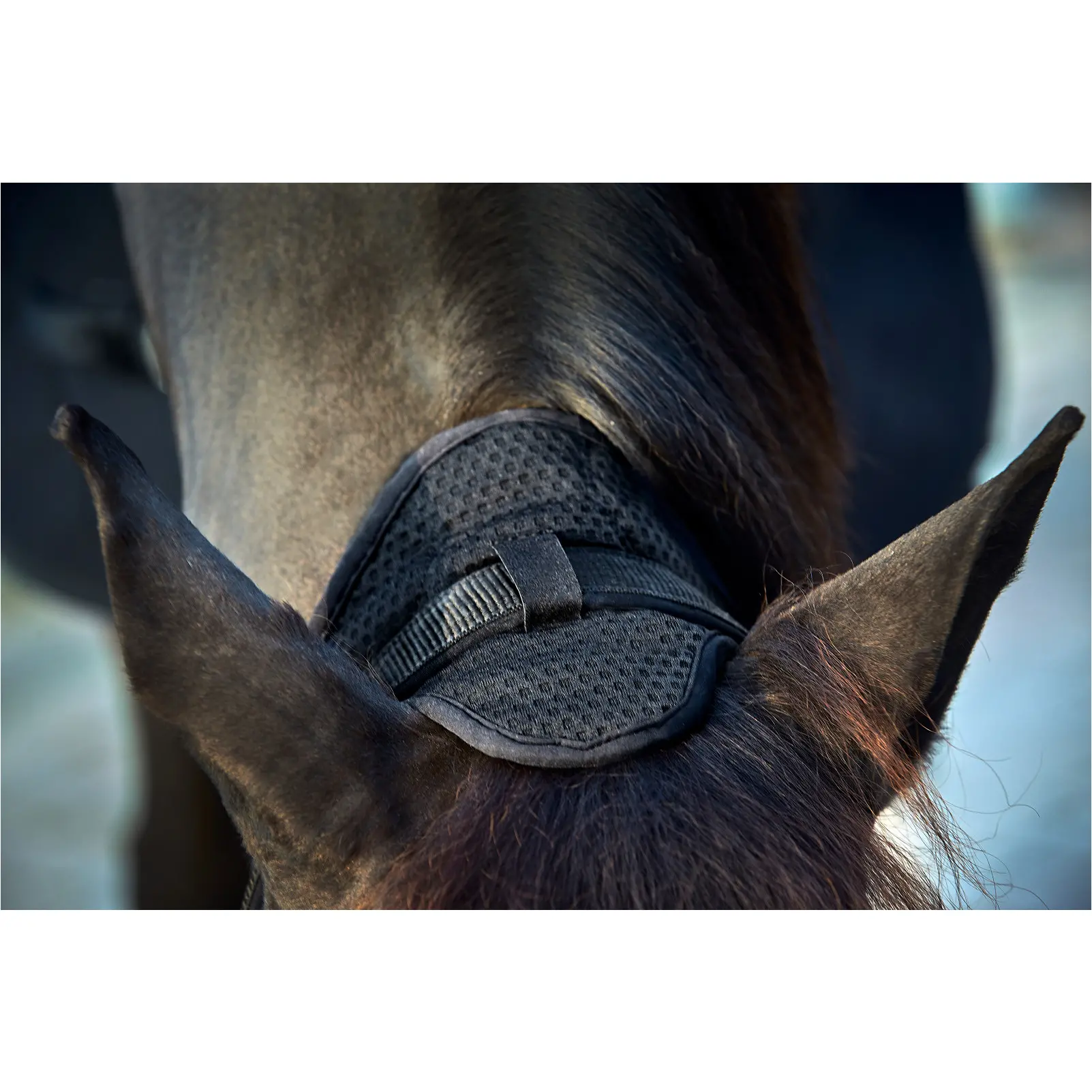 Halfter FIR-Tech schwarz