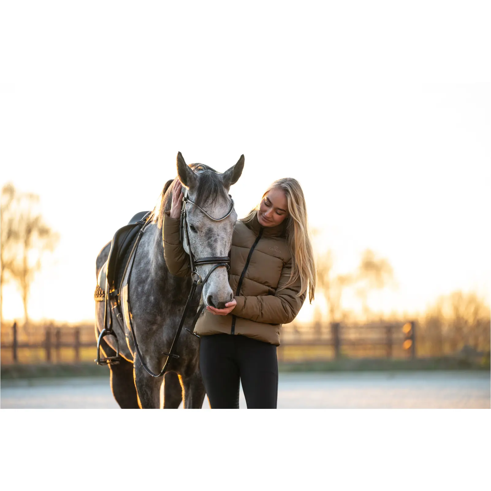 Trensenzaum englisch kombiniert BROOKLYN braun Trensenzaum englisch kombiniert BROOKLYN braun