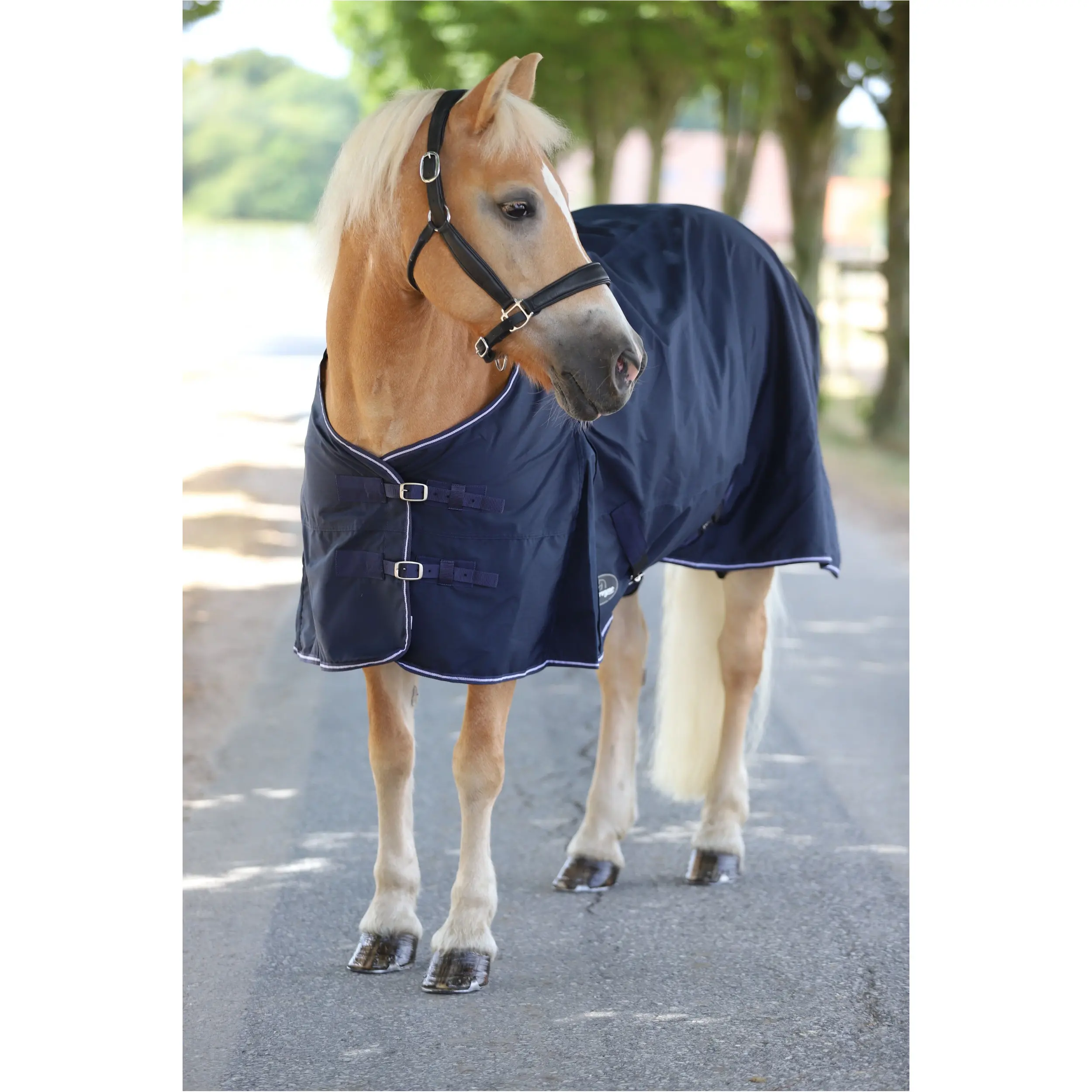 Regendecke 600D COMFORT marine Regendecke 600D COMFORT marine