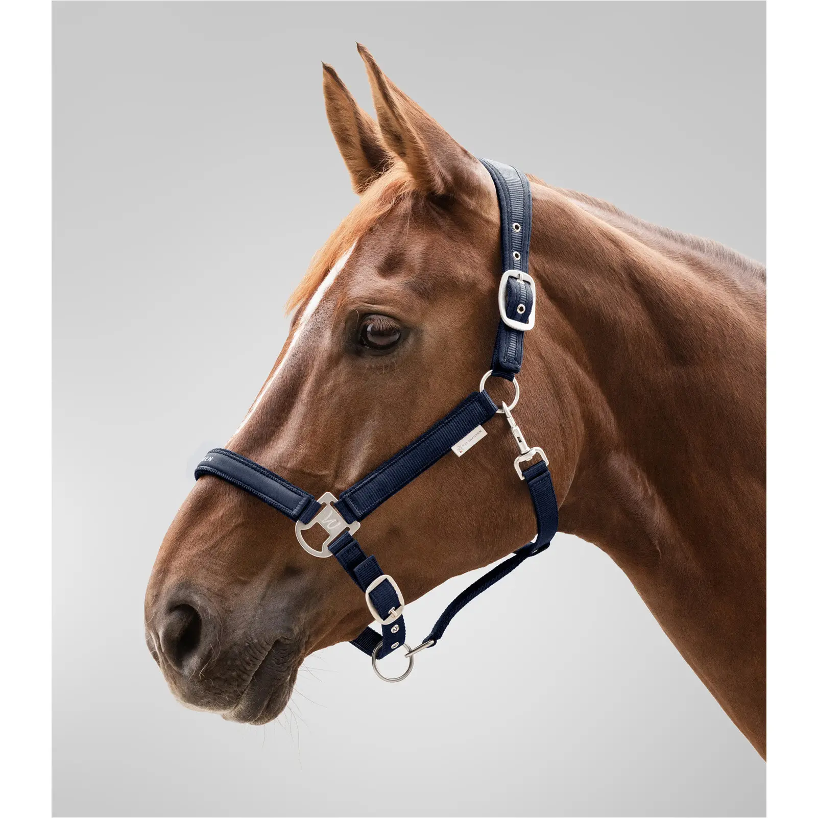 Halfter ATHLETIC nachtblau