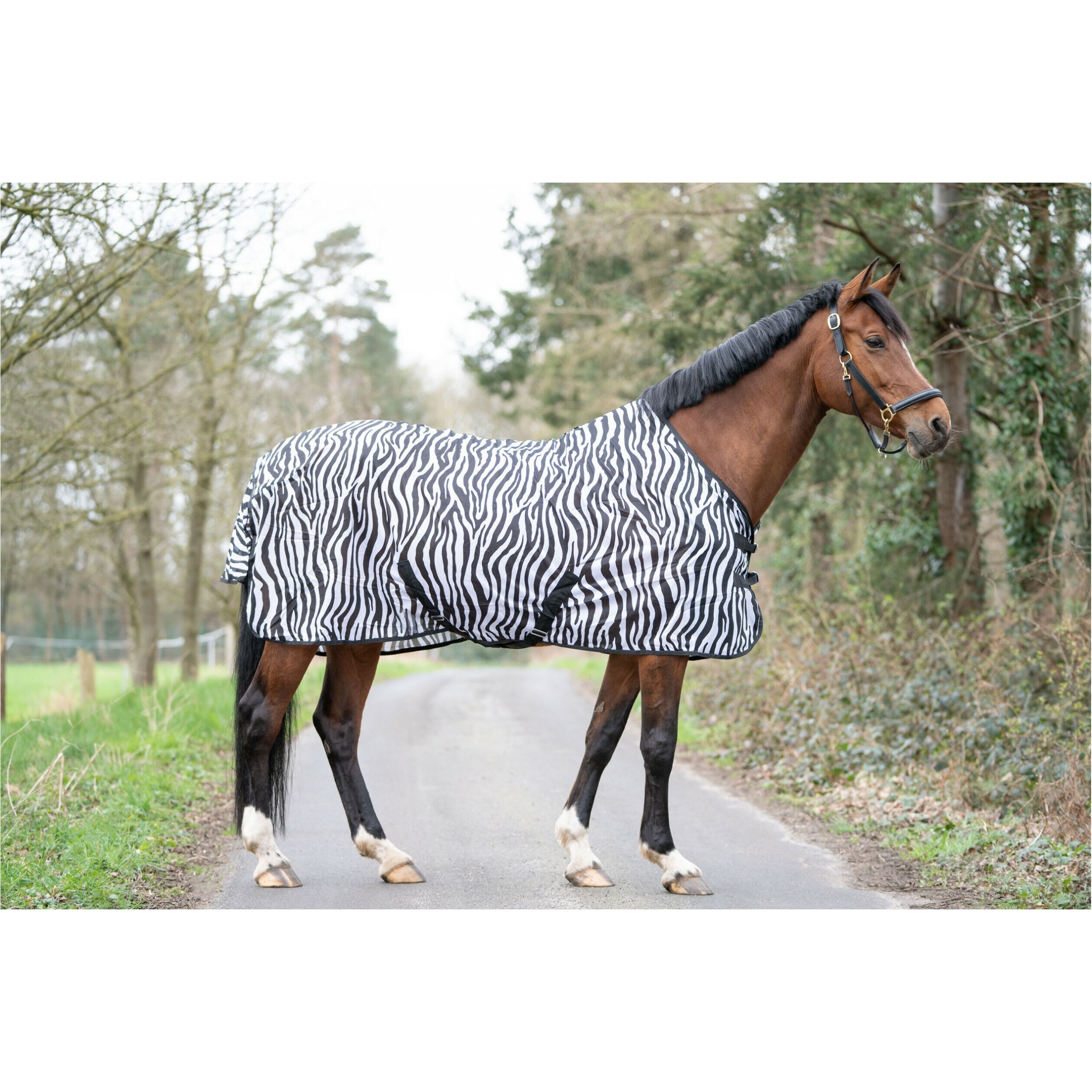 Fliegendecke mit Kreuzgurt ZEBRA schwarz/weiß