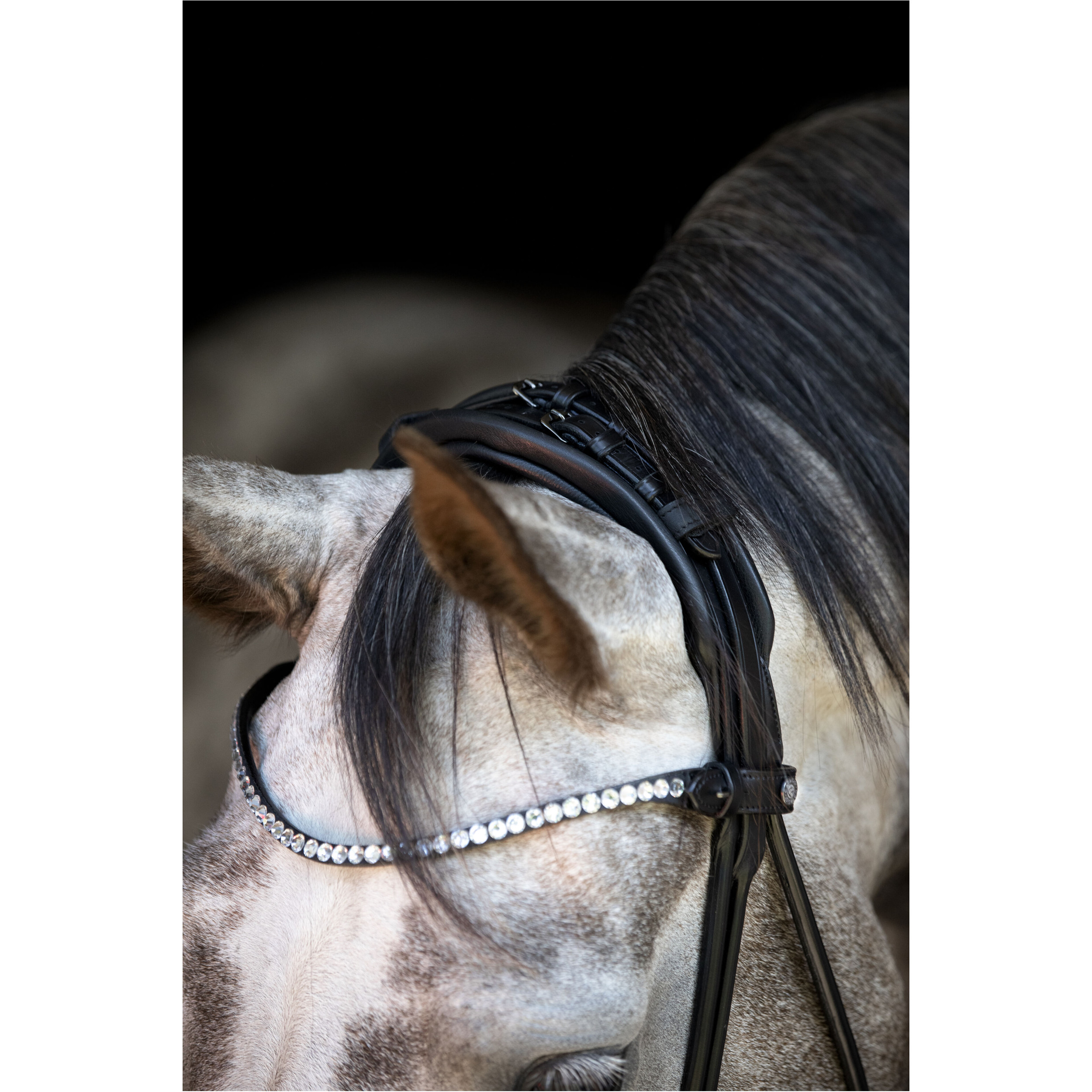 Trensenzaum rund genäht schwedisch kombiniert NIVAL 26.1 schwarz