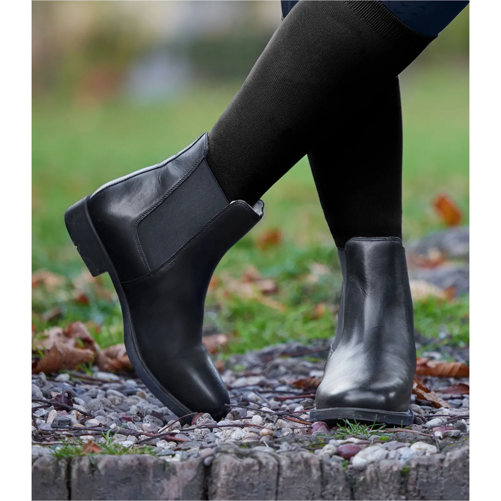 Winter Jodhpurstiefeletten Echtleder schwarz Winter Jodhpurstiefeletten Echtleder schwarz