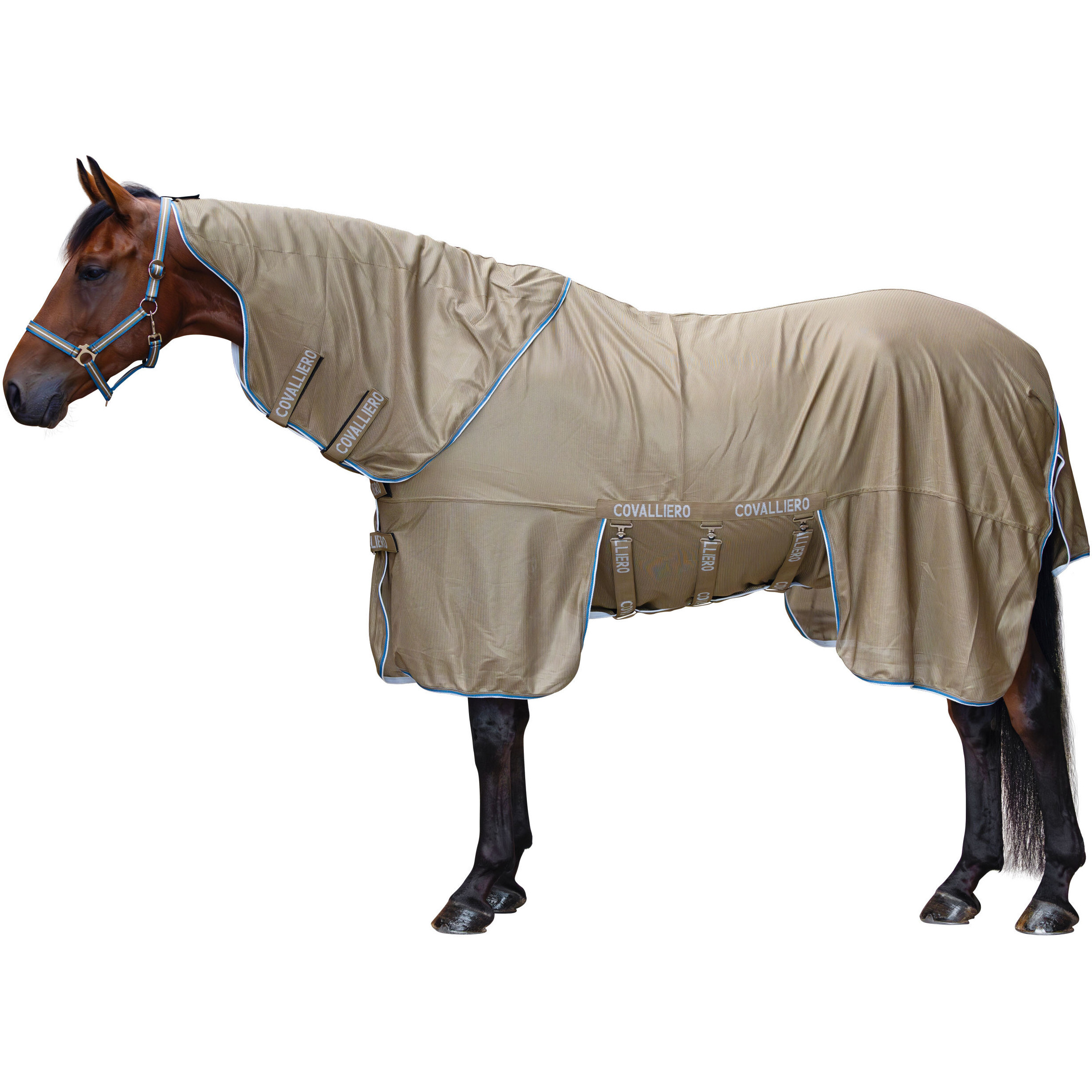 Fliegendecke mit Halsteil (abnehmbar) F/S 2026 walnut Fliegendecke mit Halsteil (abnehmbar) F/S 2026 walnut