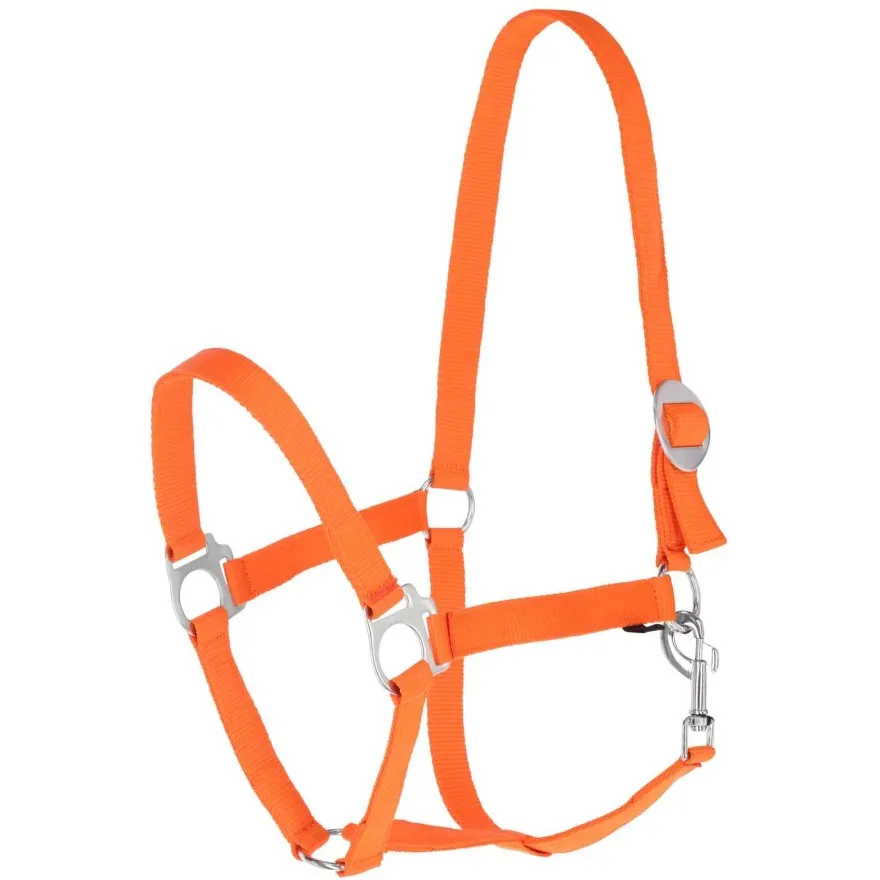 Halfter HIPPO orange