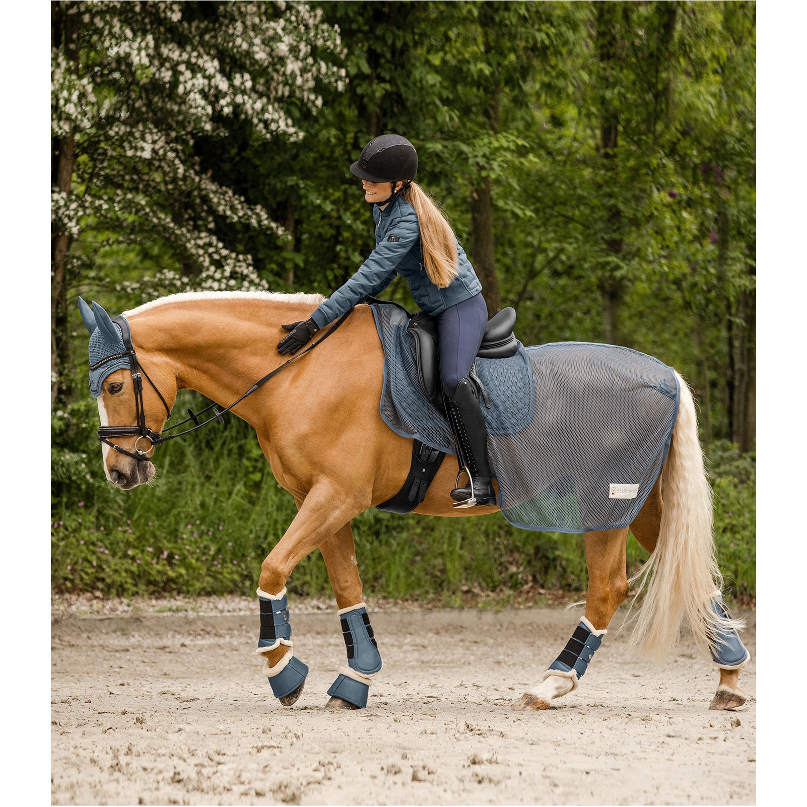 Dressurgamaschen PEGASUS kreideblau