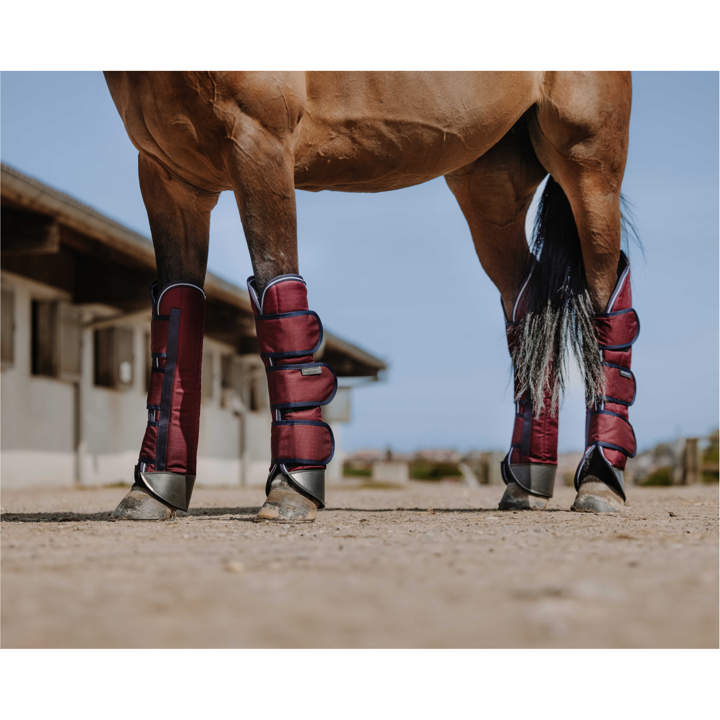 Transportgamaschen (4er Set) 1200D TYREX burgunder Transportgamaschen (4er Set) 1200D TYREX burgunder