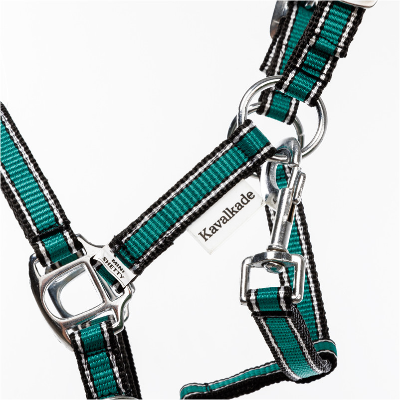 Halfter SHORTY petrol/schwarz/silber