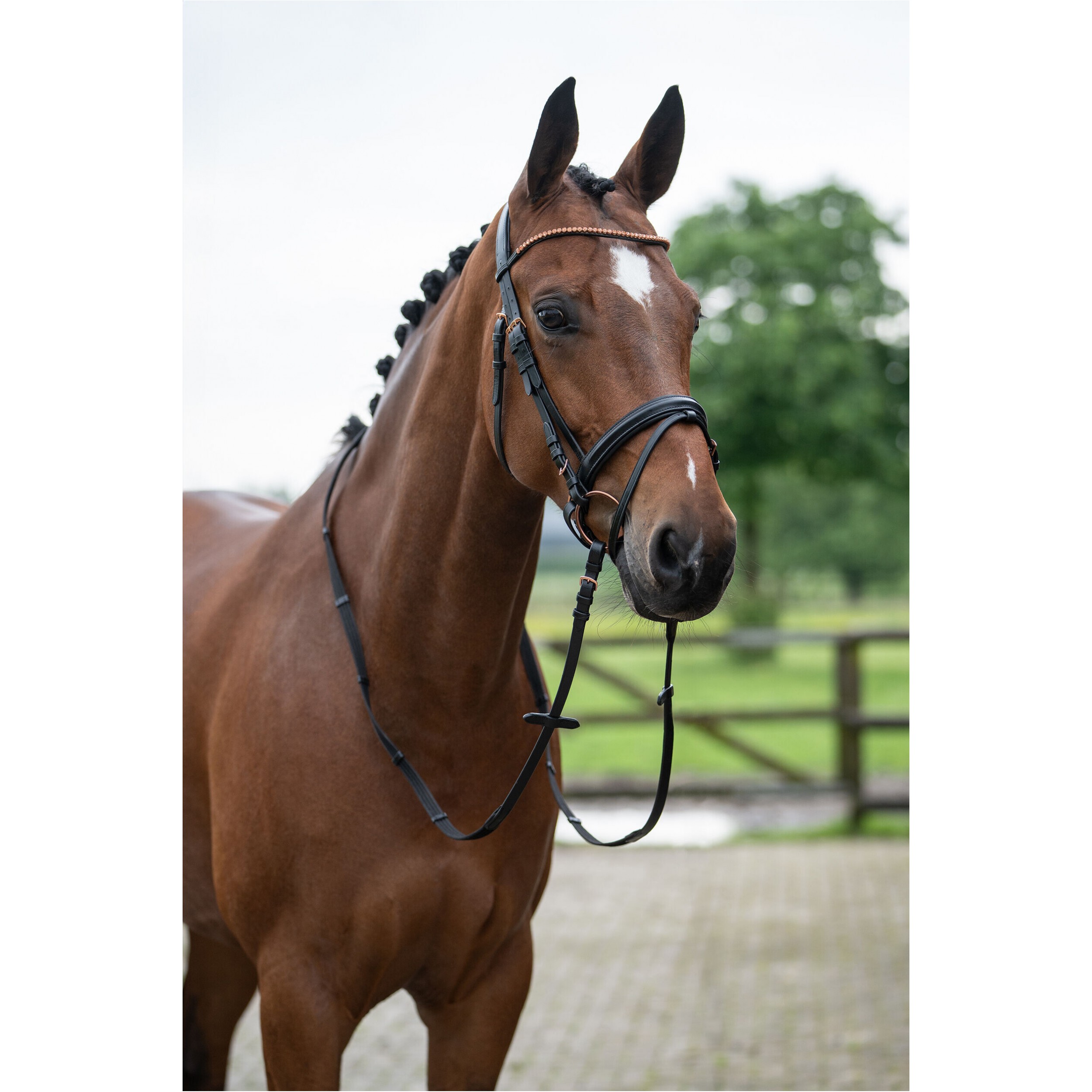 Trensenzaum ROSEGOLD GLAMOUR STYLE schwarz/rosegold
