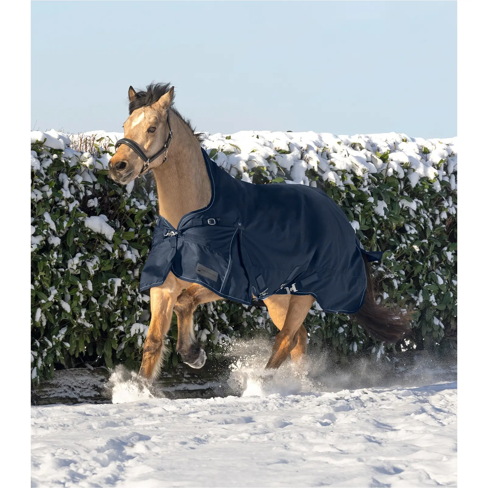 Outdoordecke High Neck Light 1200D SCANDIC nachtblau