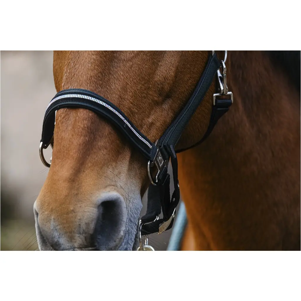 Nylonhalfter mit Strass DOMINO grün