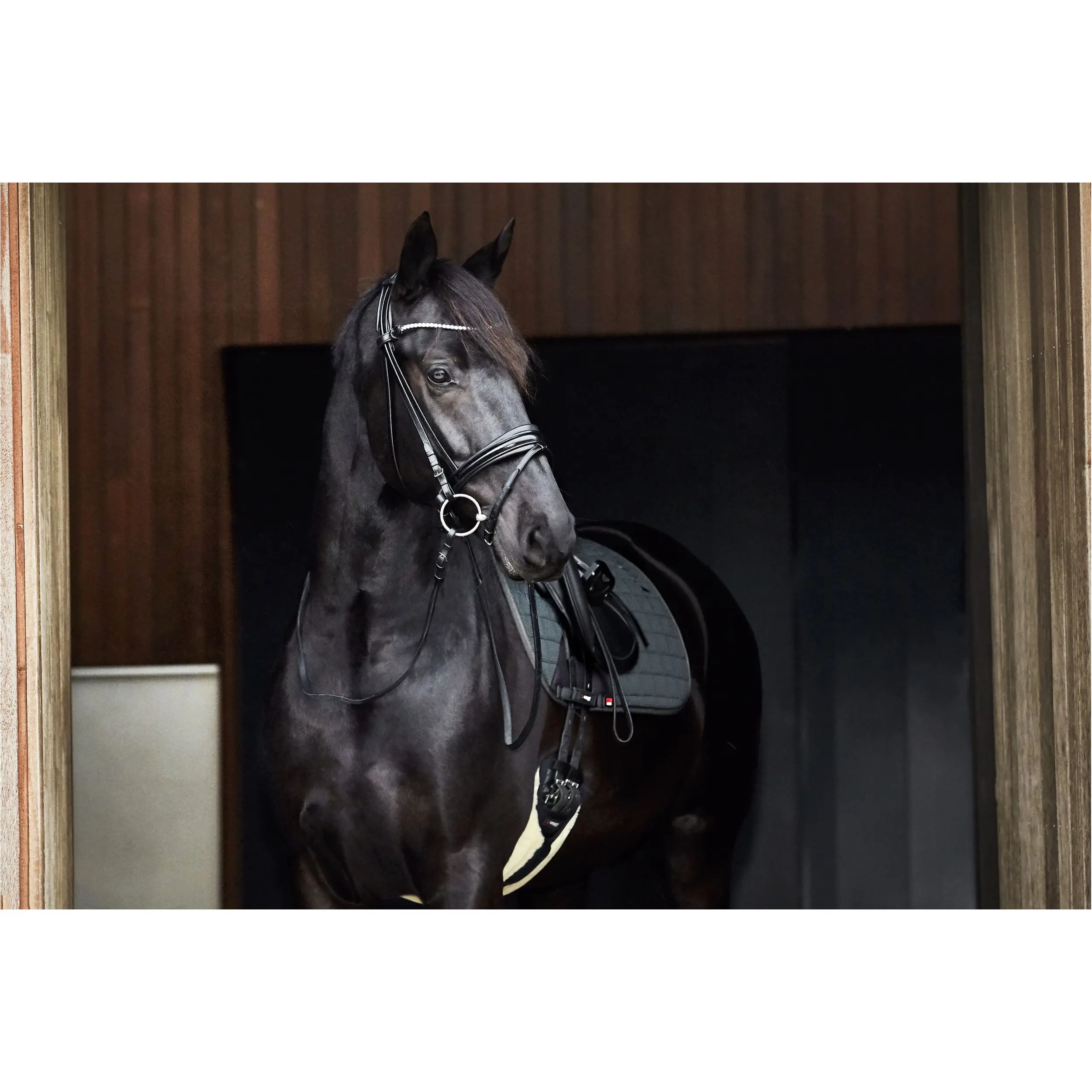 Sattelgurt mit Kunstpelz schwarz