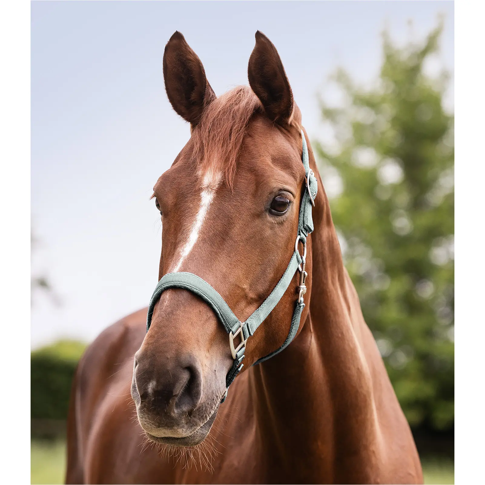 Halfter SATIN silberblau