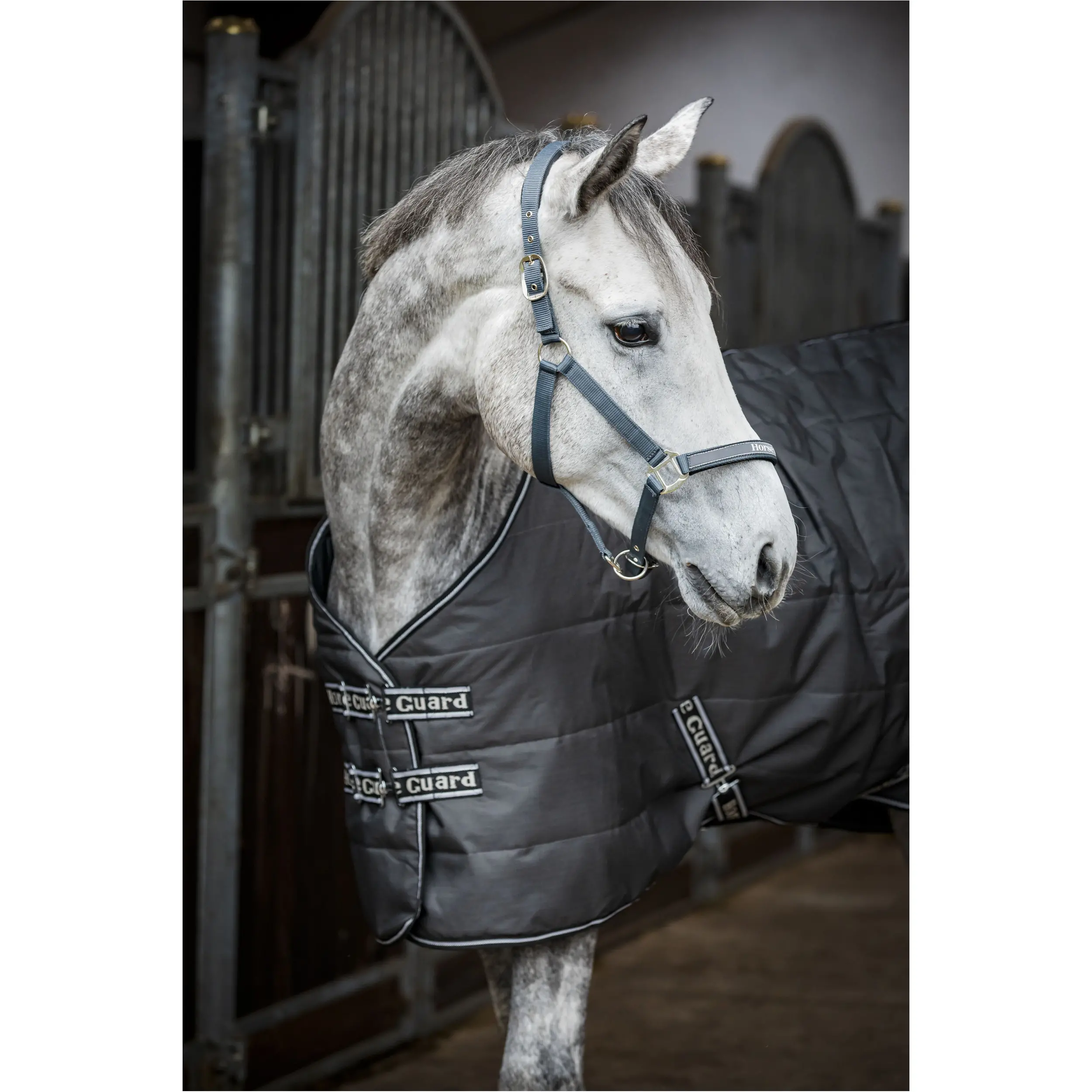 Stalldecke 100g Füllung SOPHIE asphalt Stalldecke 100g Füllung SOPHIE asphalt