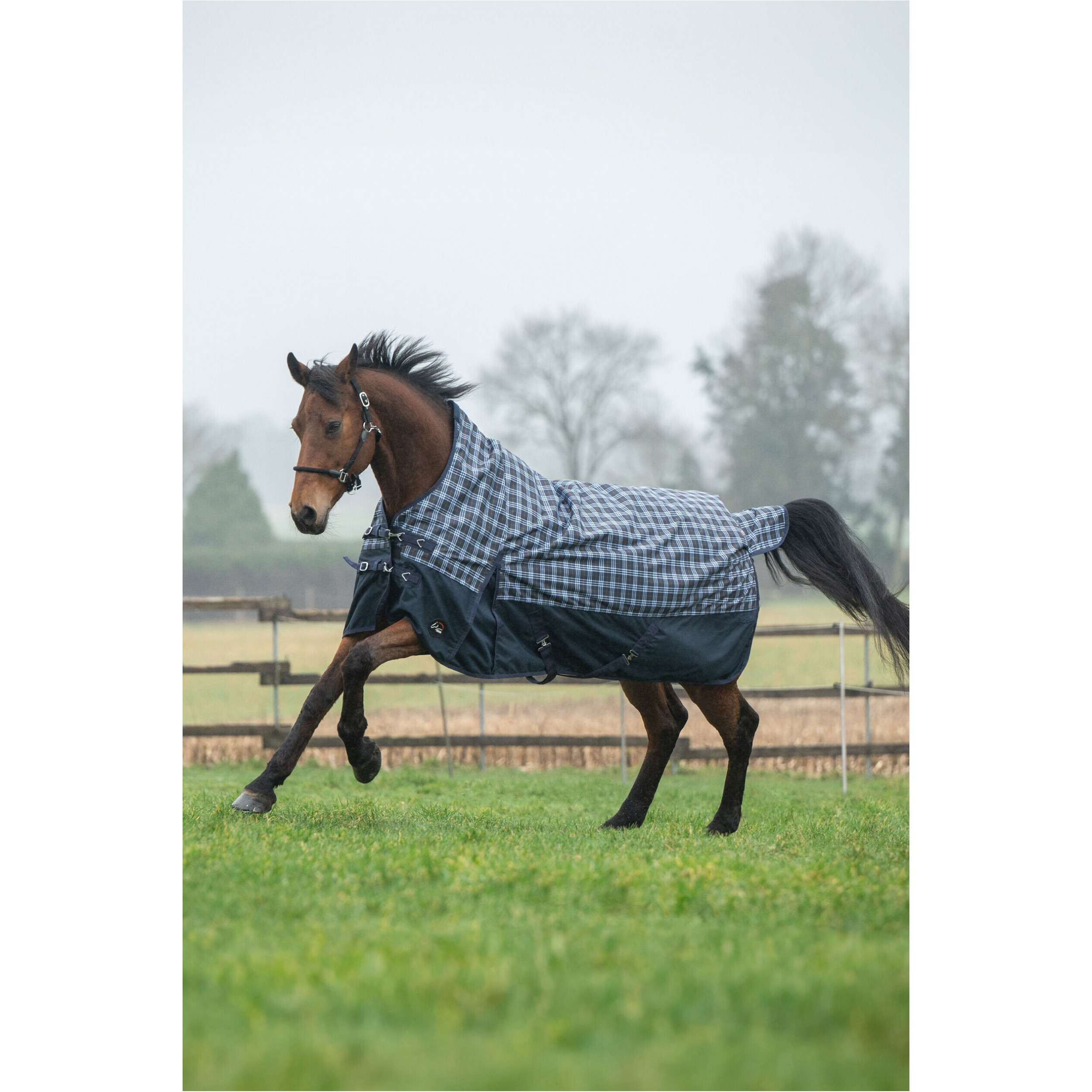 Weidedecke High Neck 1200D mit Fleecefutter GLASGOW dunkelblau/karo