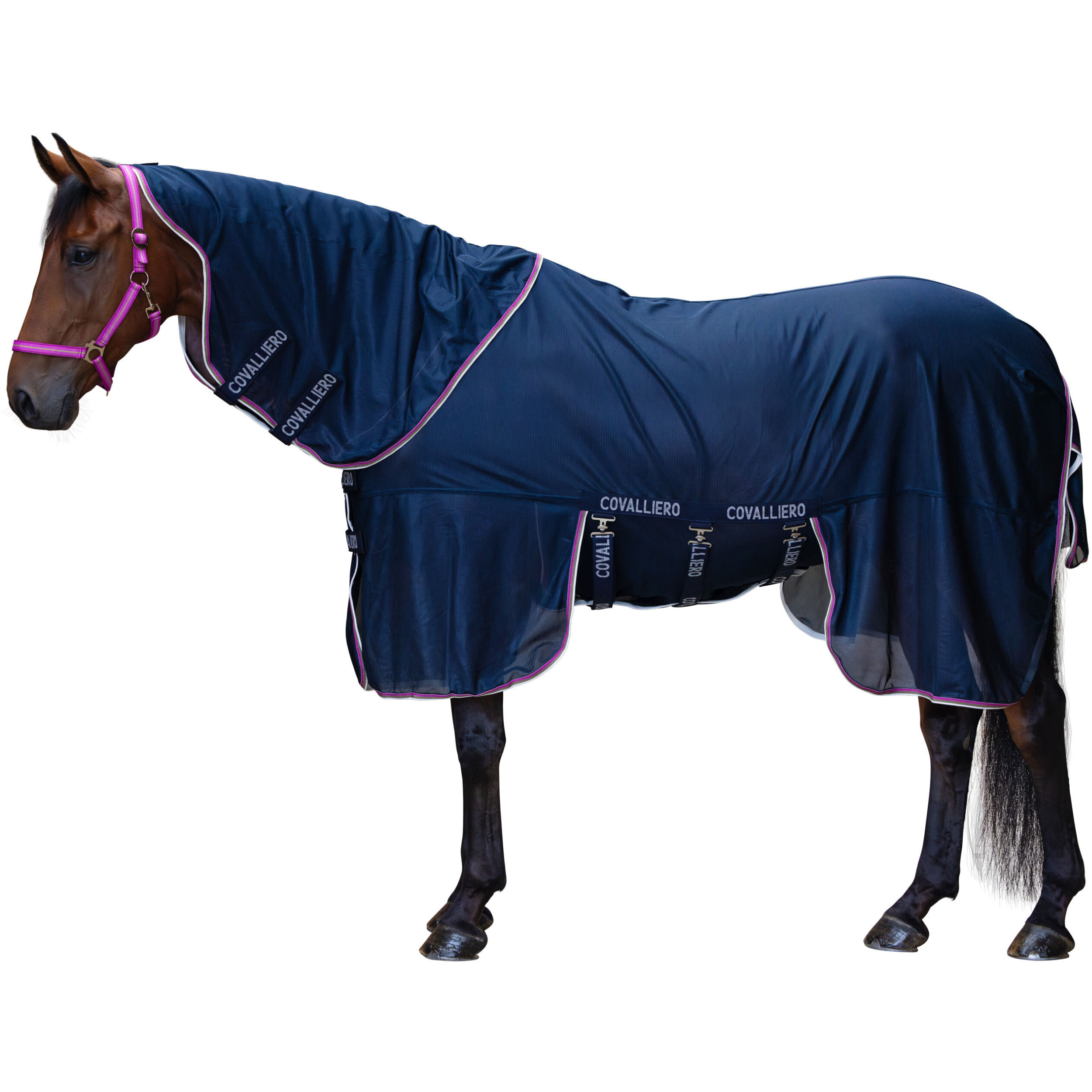 Fliegendecke mit Halsteil (abnehmbar) F/S 2026 dark navy