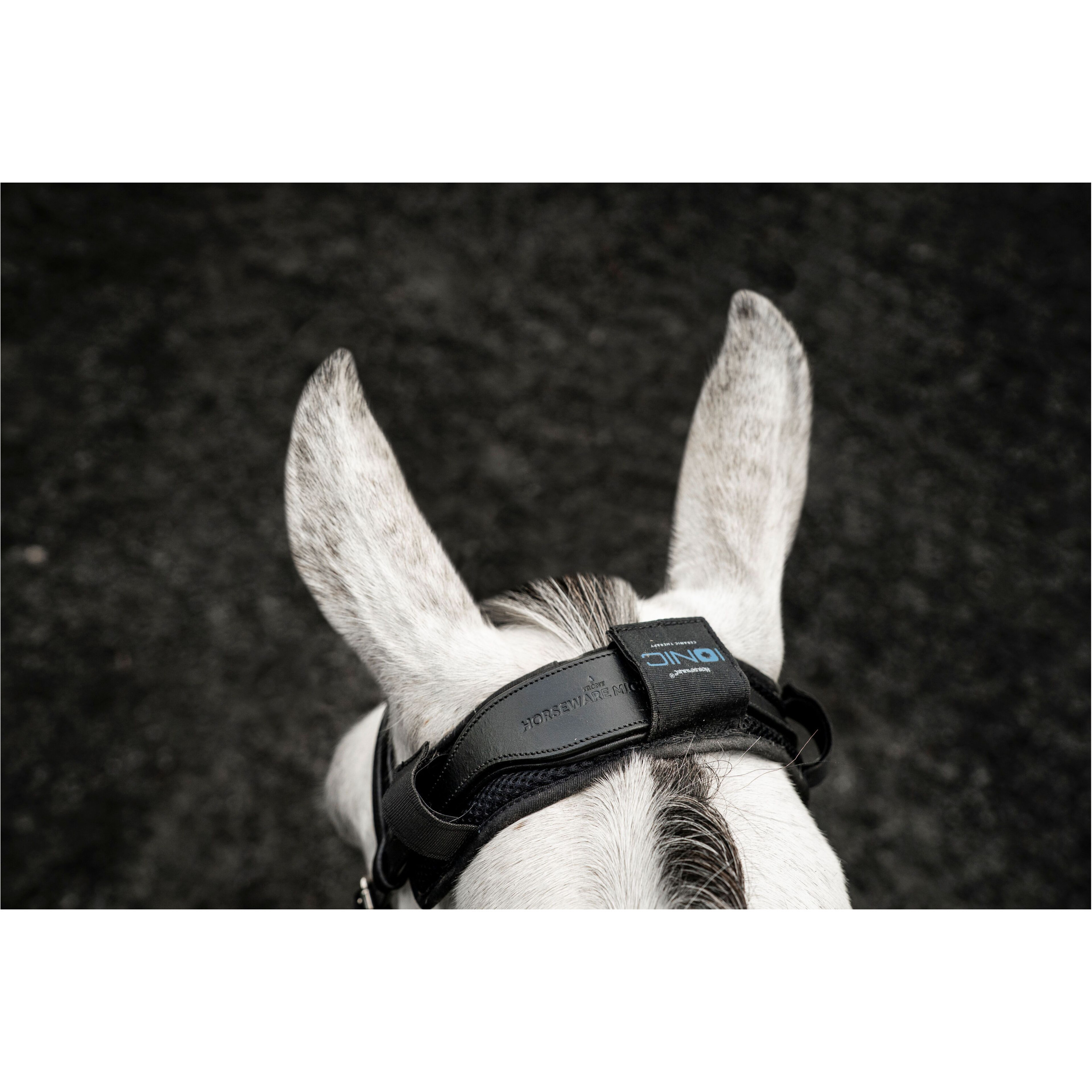 Genickschoner IONIC POLL COVER schwarz